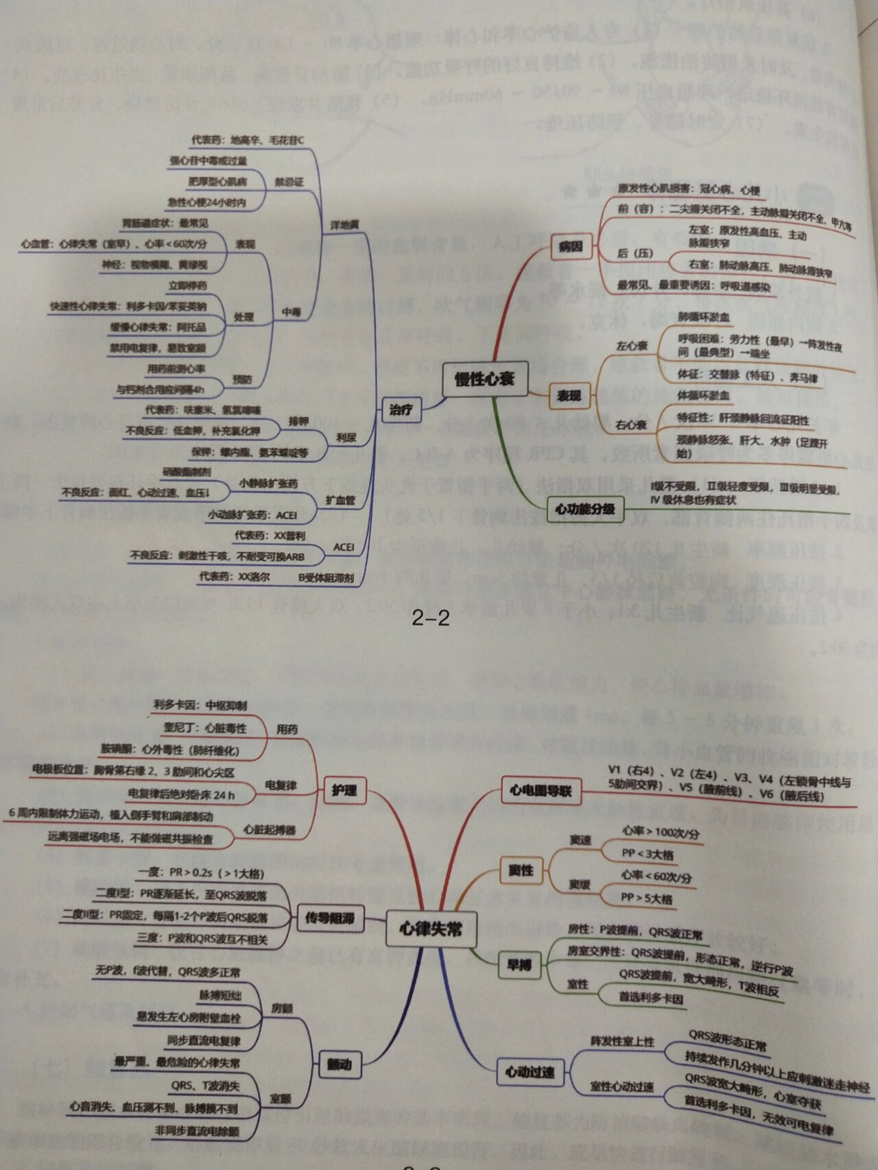 八大循环系统思维导图图片