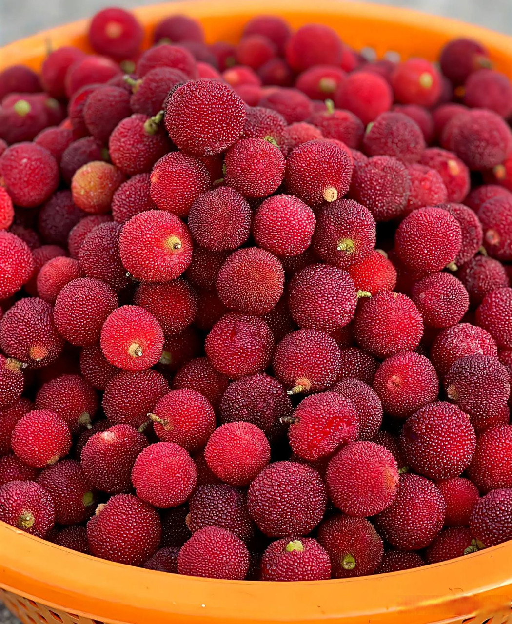 它呈现暗红的小球形状,果肉酸甜可口.