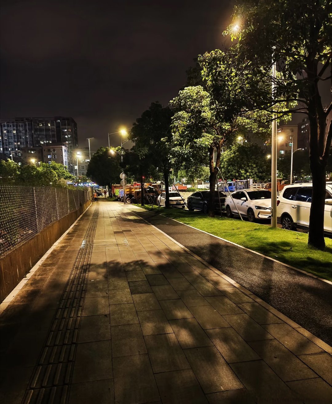 街道灯火通明,见证城市活力; 树木光影摇曳,点缀自然诗意