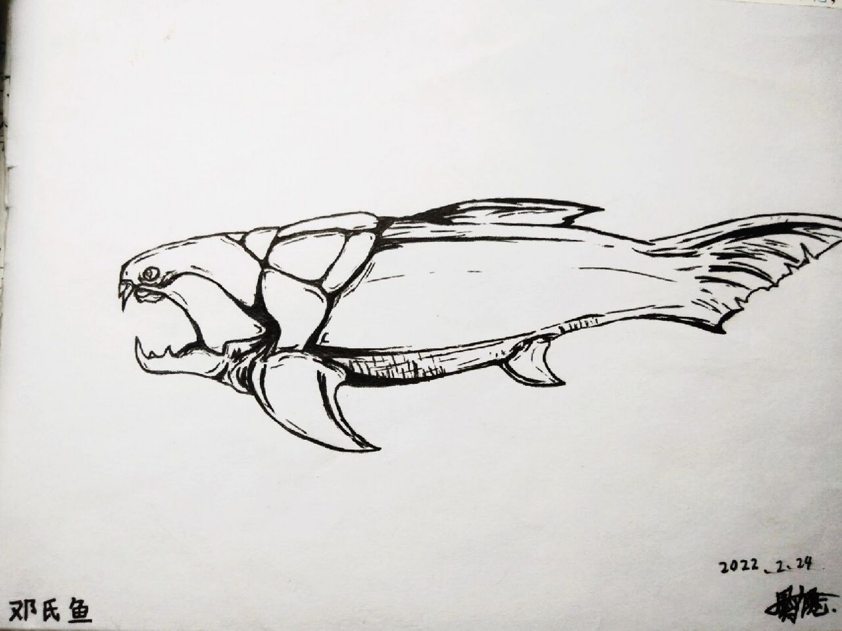 远古鱼简笔画图片