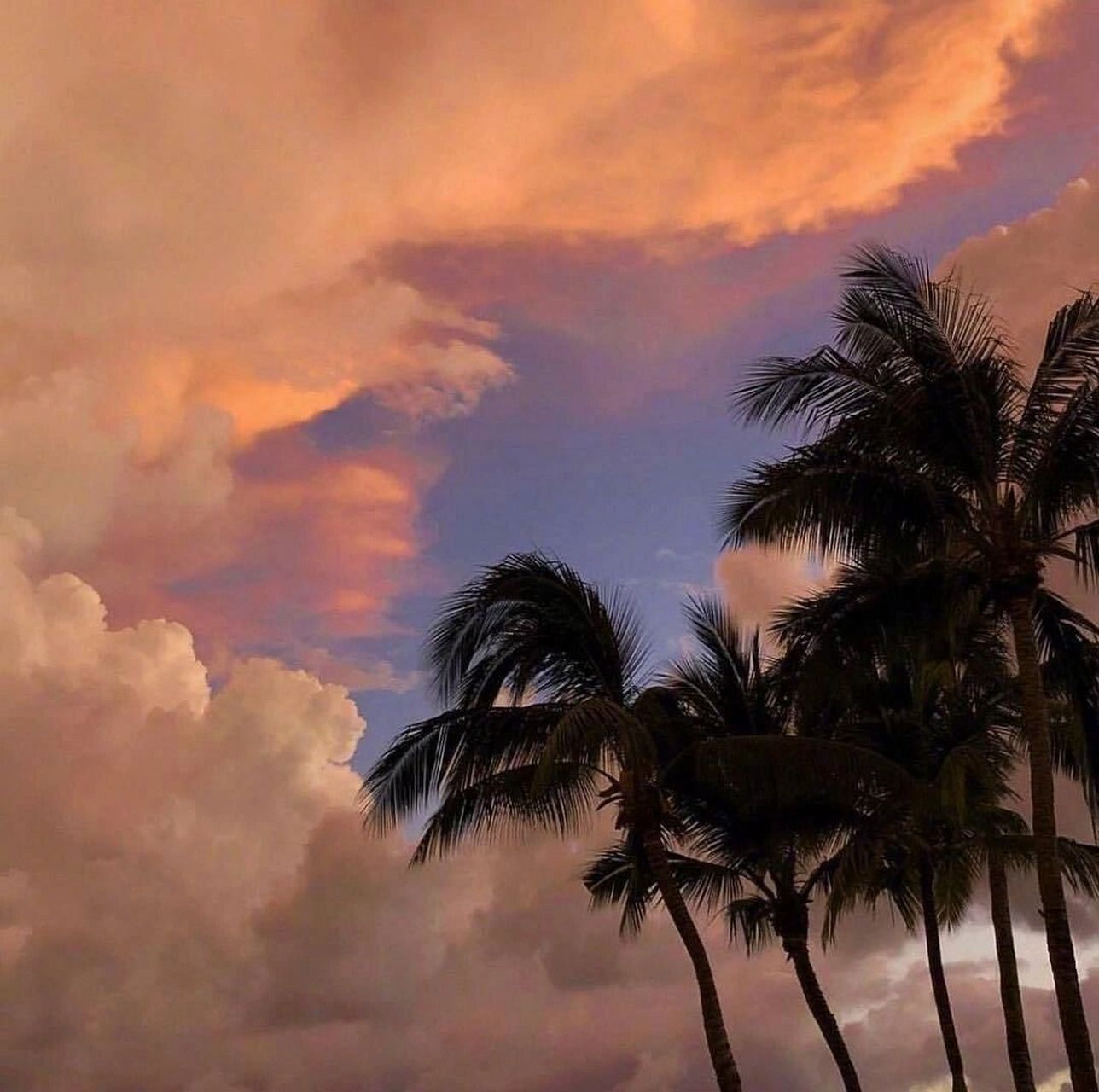 朋友圈背景图丨天空图片 喜欢天空的人一定都很温柔吧 	 这个图片看着