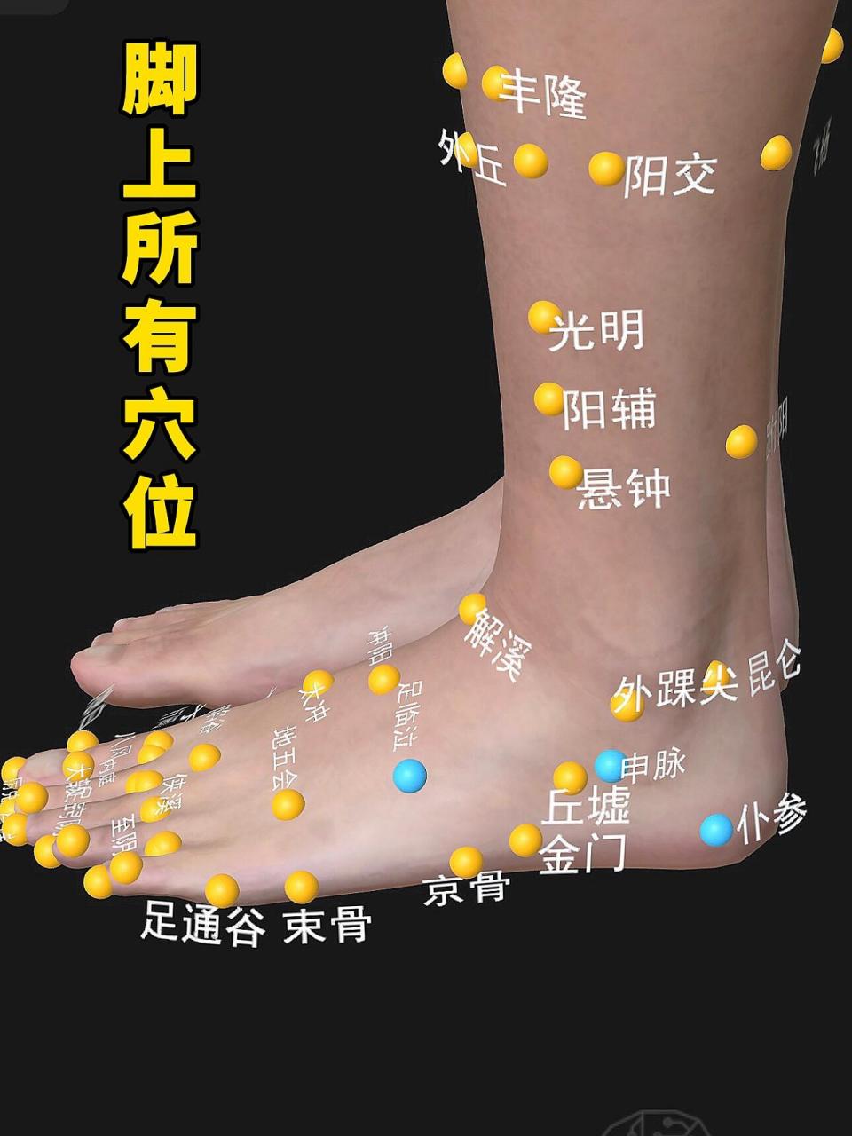 图解|脚上所有穴位✅保存好别找不到了 【足部养生五字口诀】 ✅