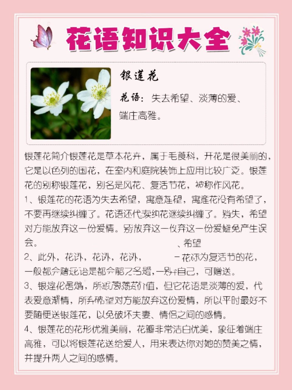 152‖银莲花的花语 银莲花 花语:失去希望,淡薄的爱,端庄高雅