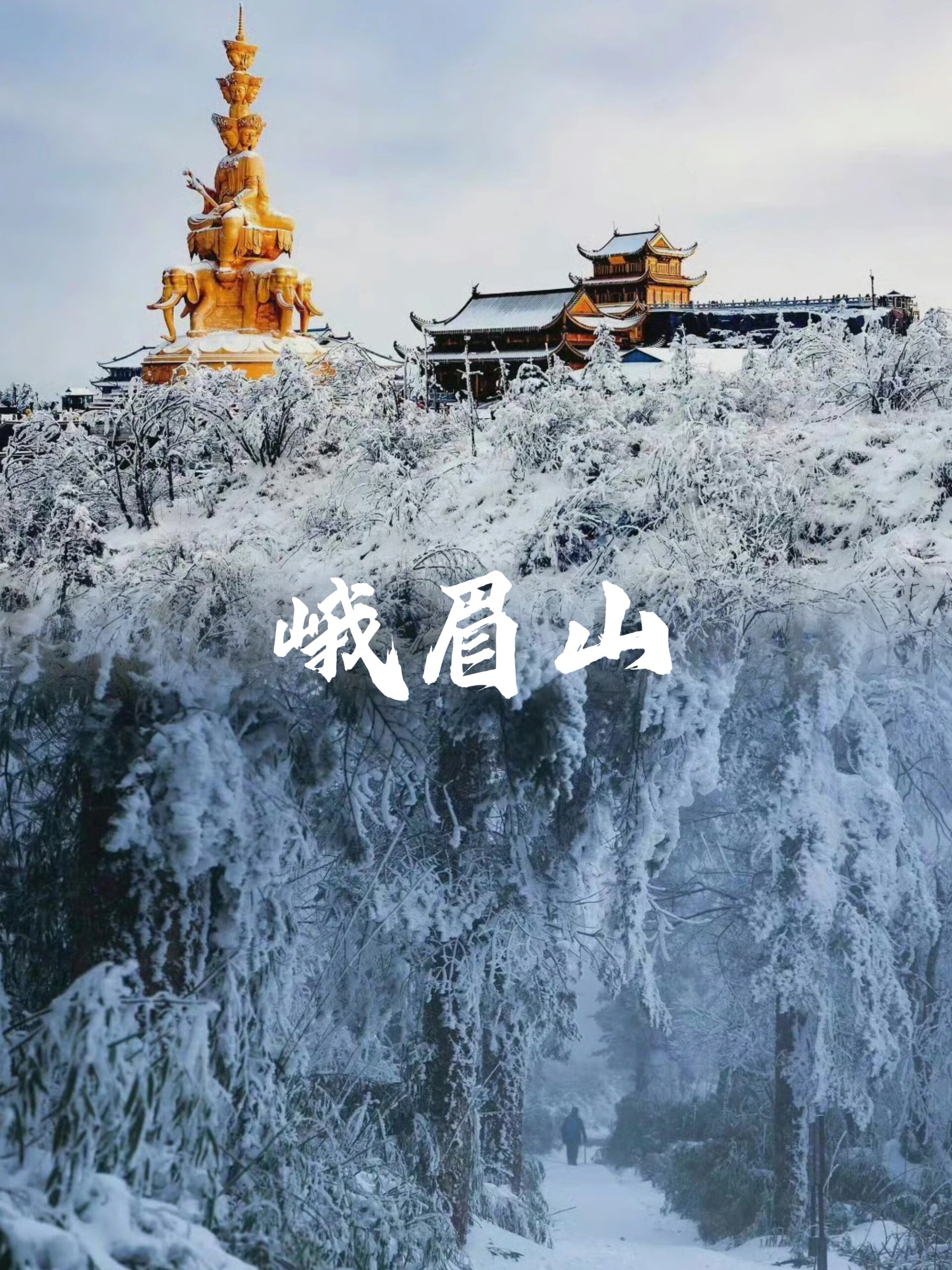 成都玩雪7615去瓦屋山还是7215峨眉山71
