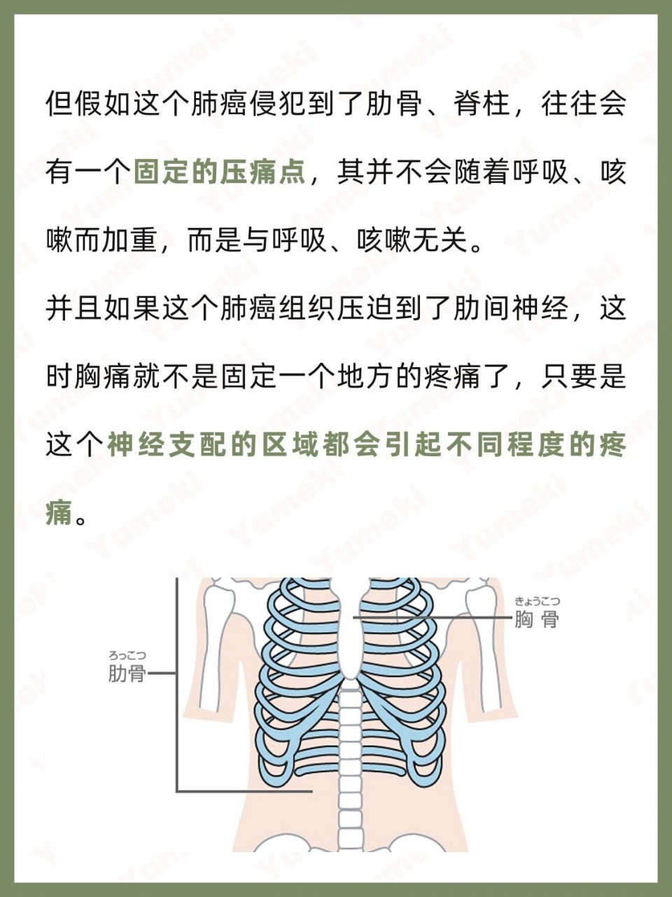 肺癌胸痛的特点和位置图片