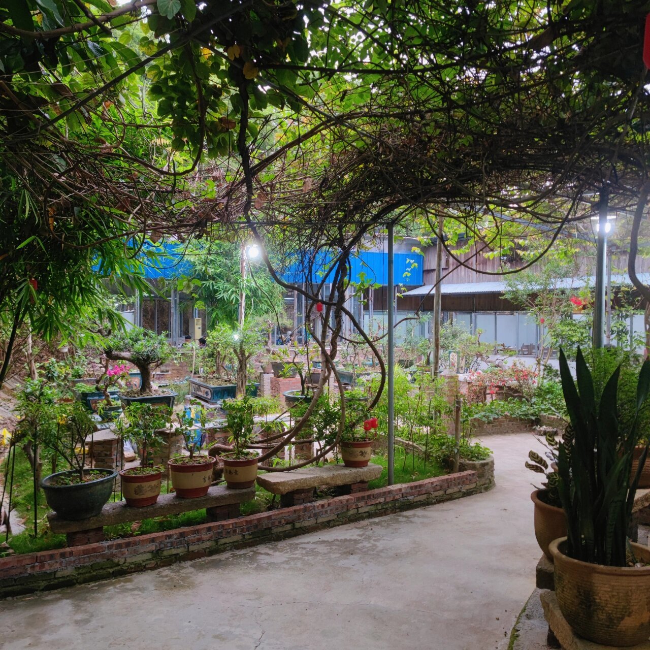 江门农庄|焖兔肉,兔汁捞面92 92兔兔这么可爱 一定很好吃吧篁庄的