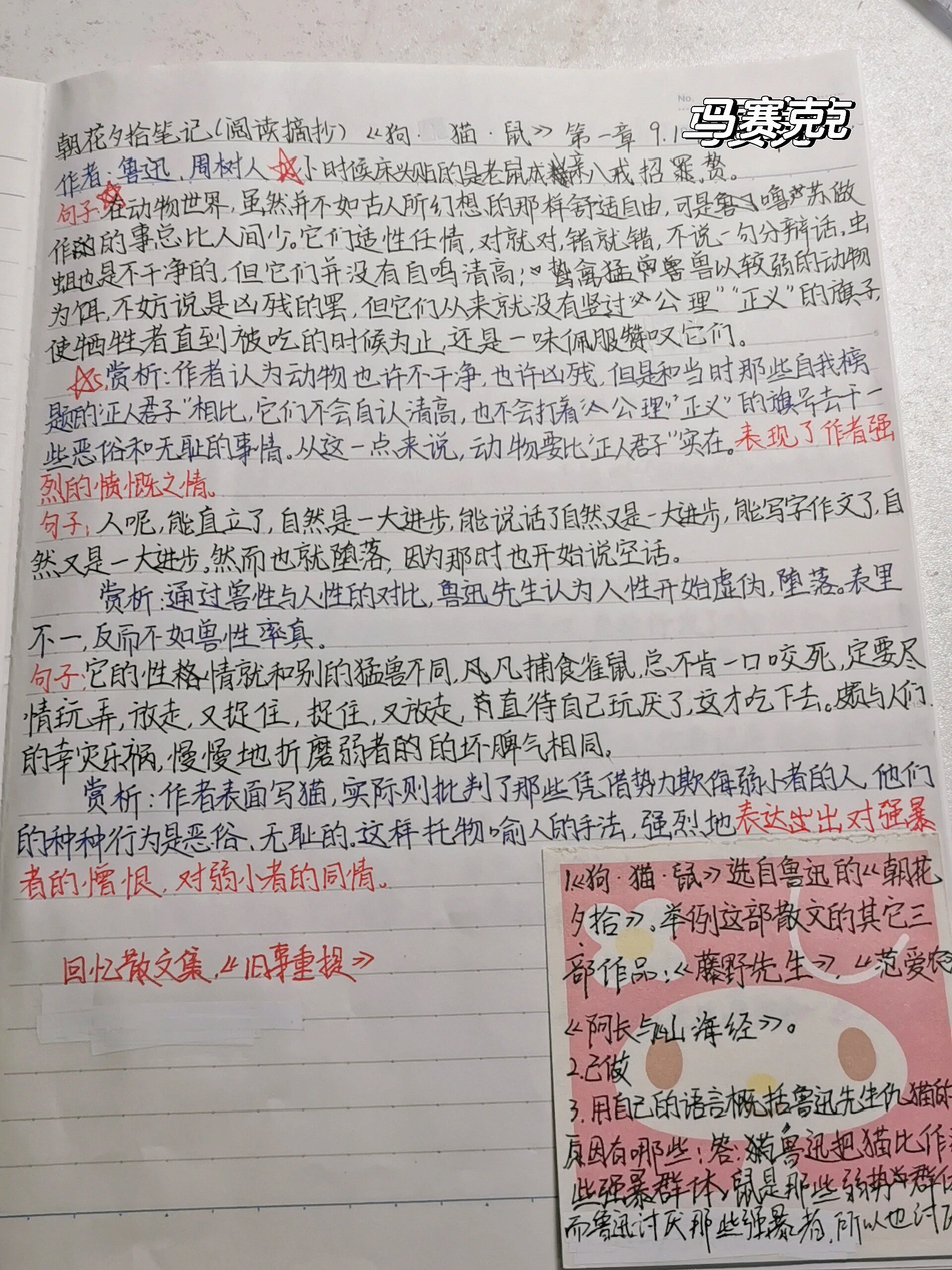 狗猫鼠手抄报模板图片