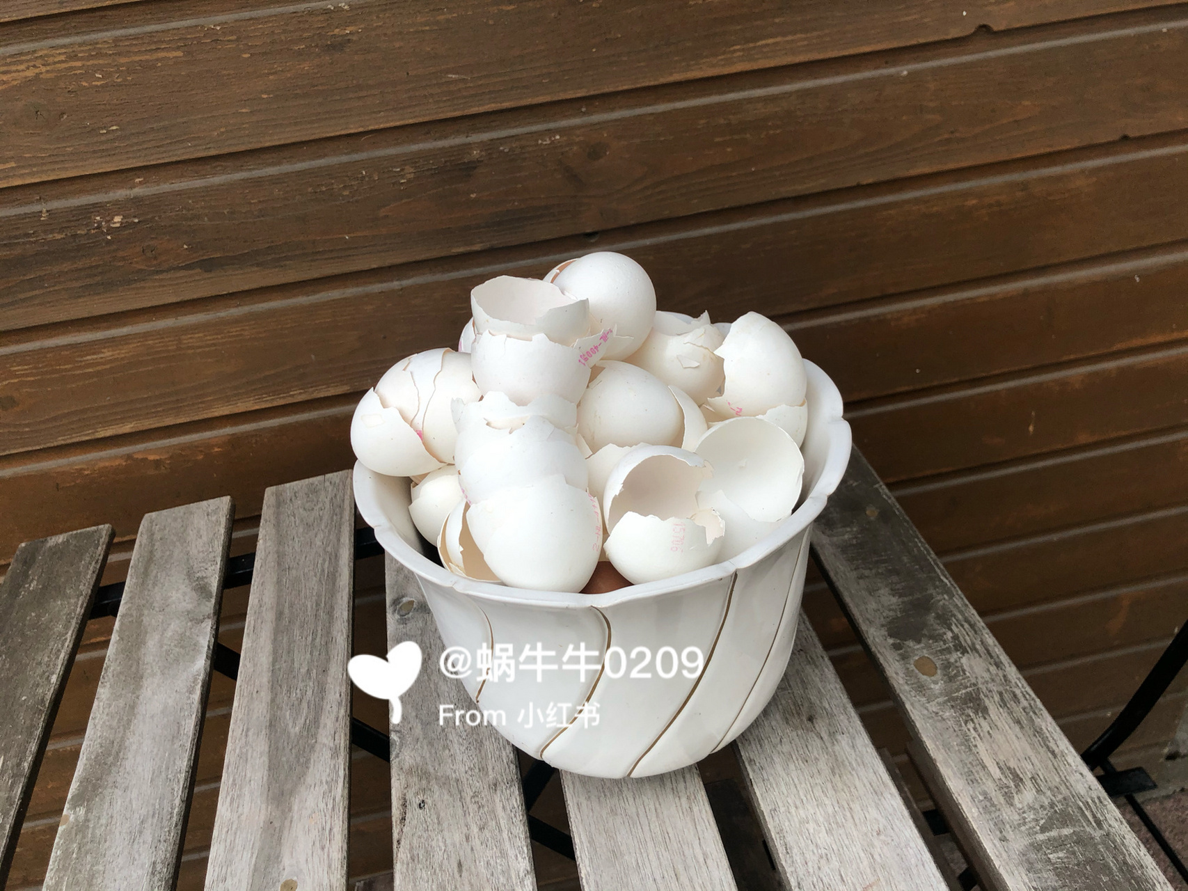 简单粗暴好用的家庭自制肥——鸡蛋壳做肥料 我一般都是买肥使用的!