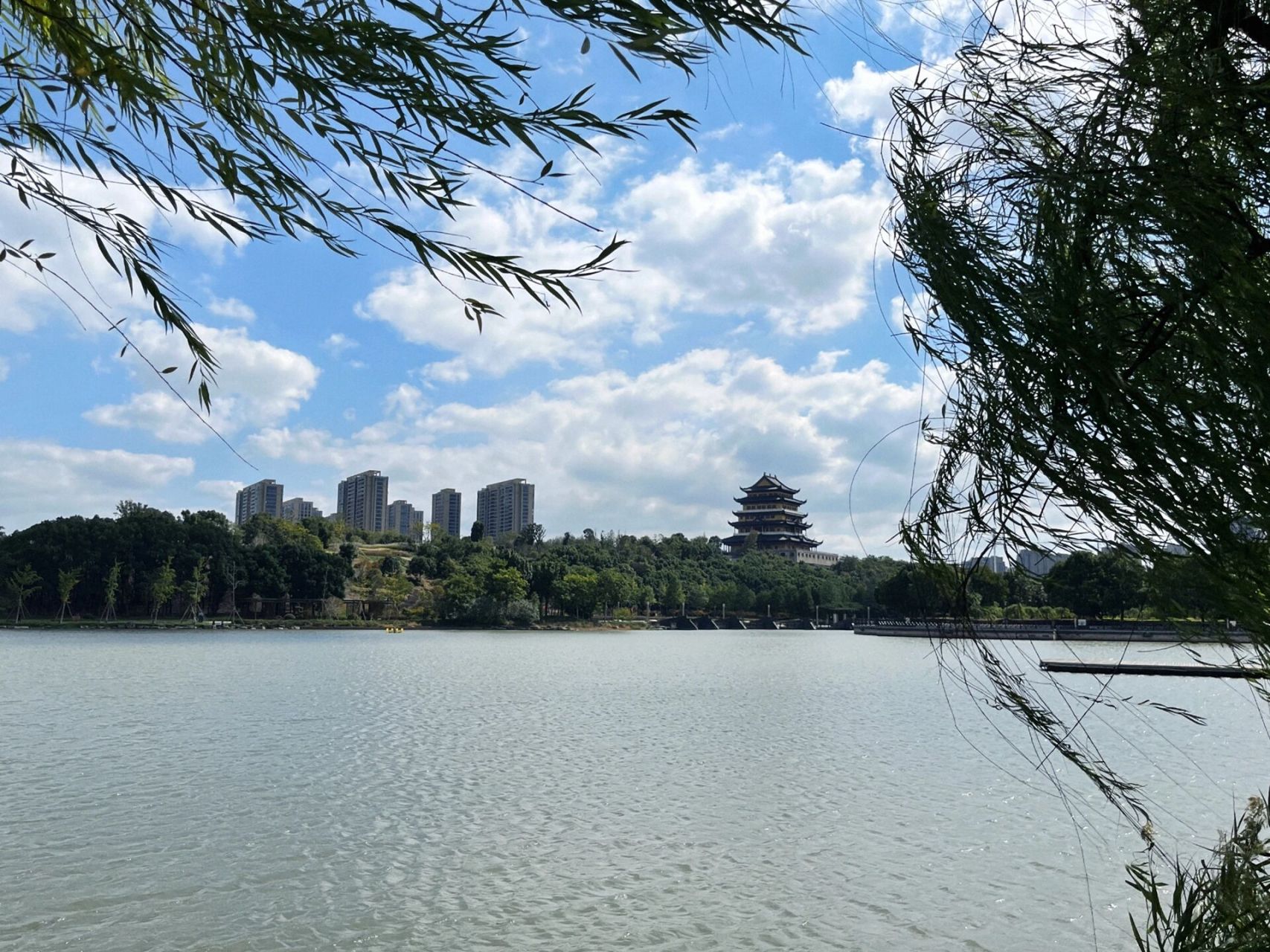 奉化 | 仁湖公园看景08 秋天就是应该逛公园 / 太阳底下吹吹风 桂香