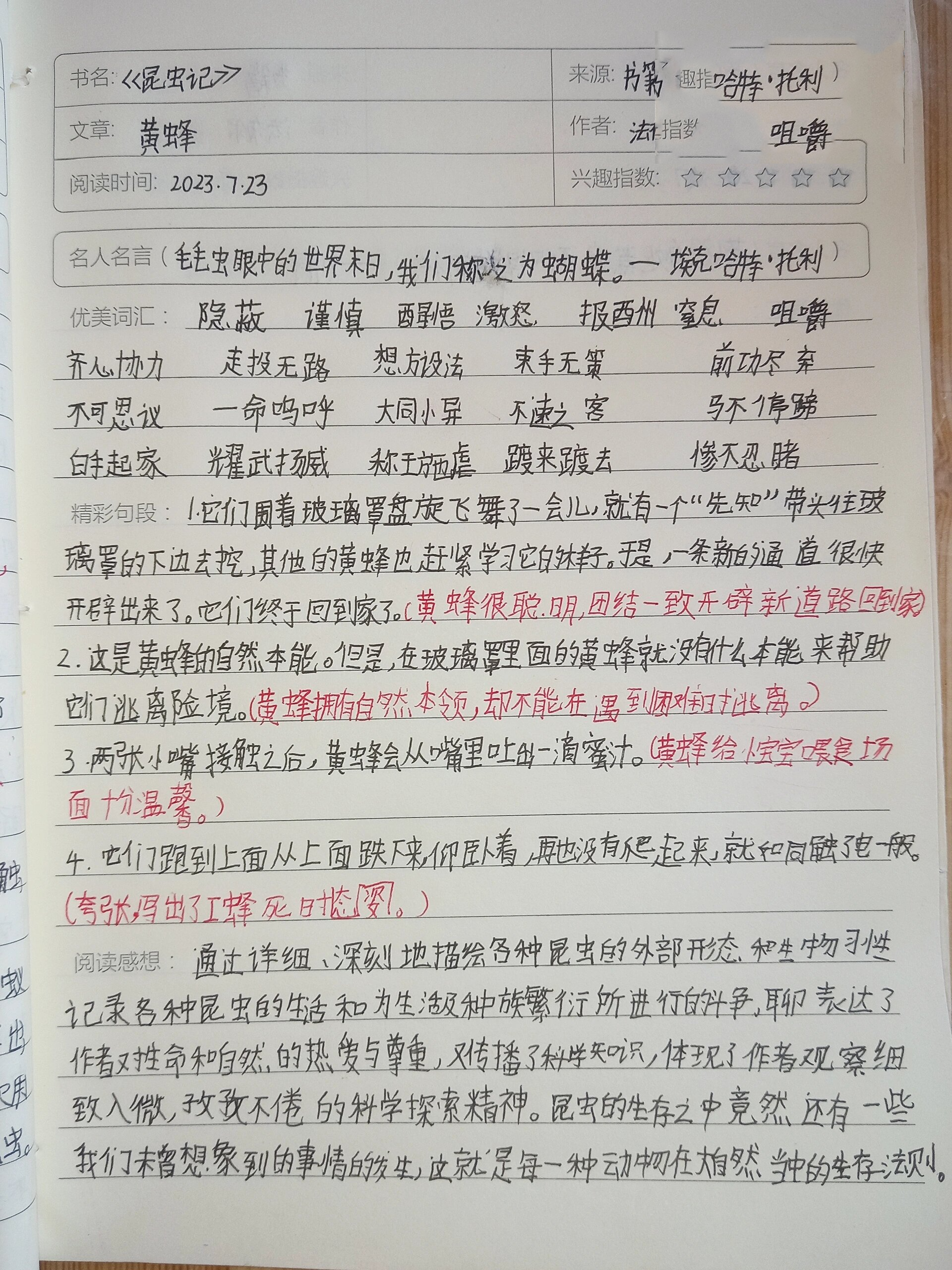 《昆虫记》读书笔记 黄蜂