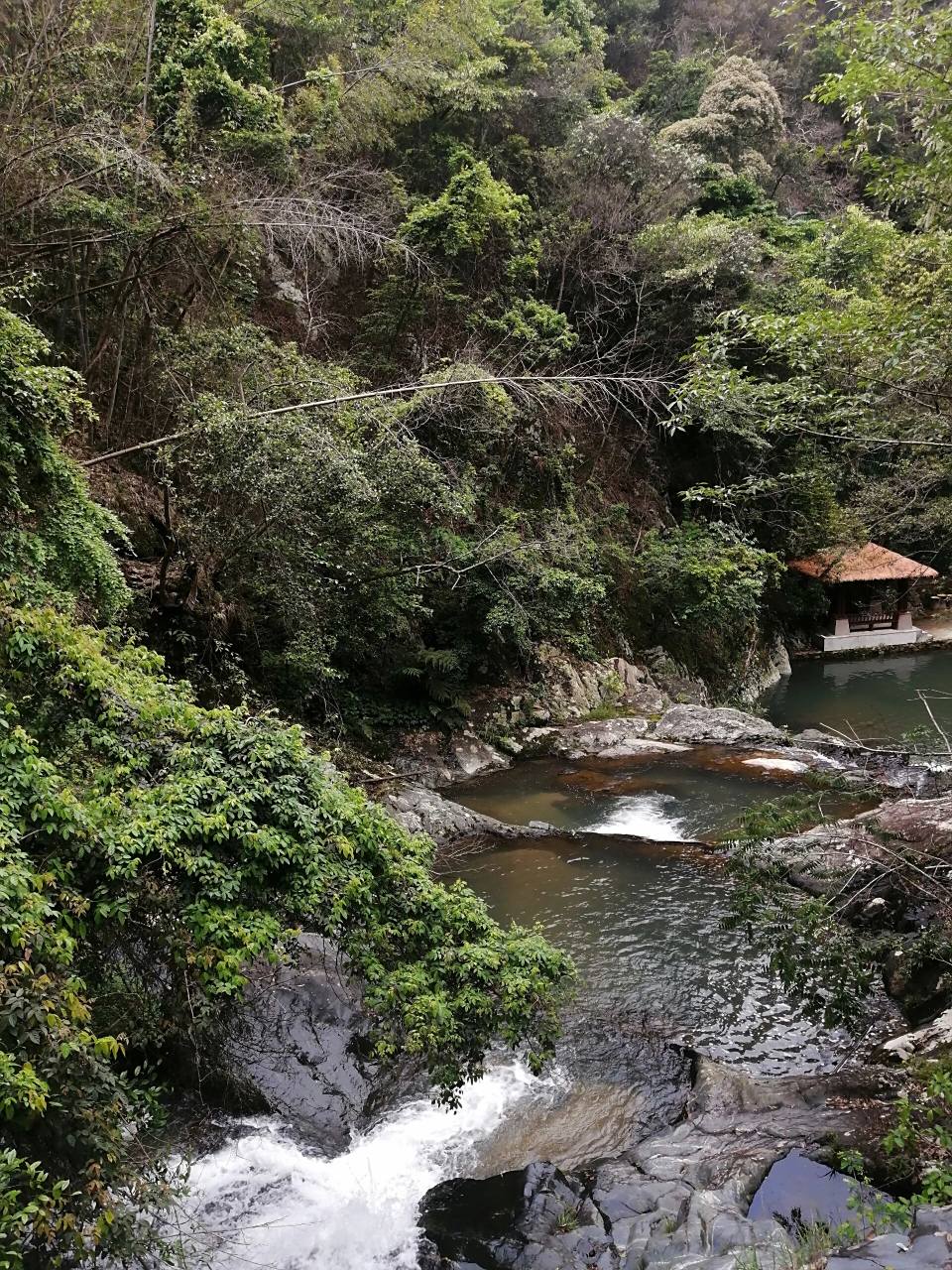 的瀑布景观 溪水清澈见底 适合露营爬山 具体导航,赣县宝莲山风景区