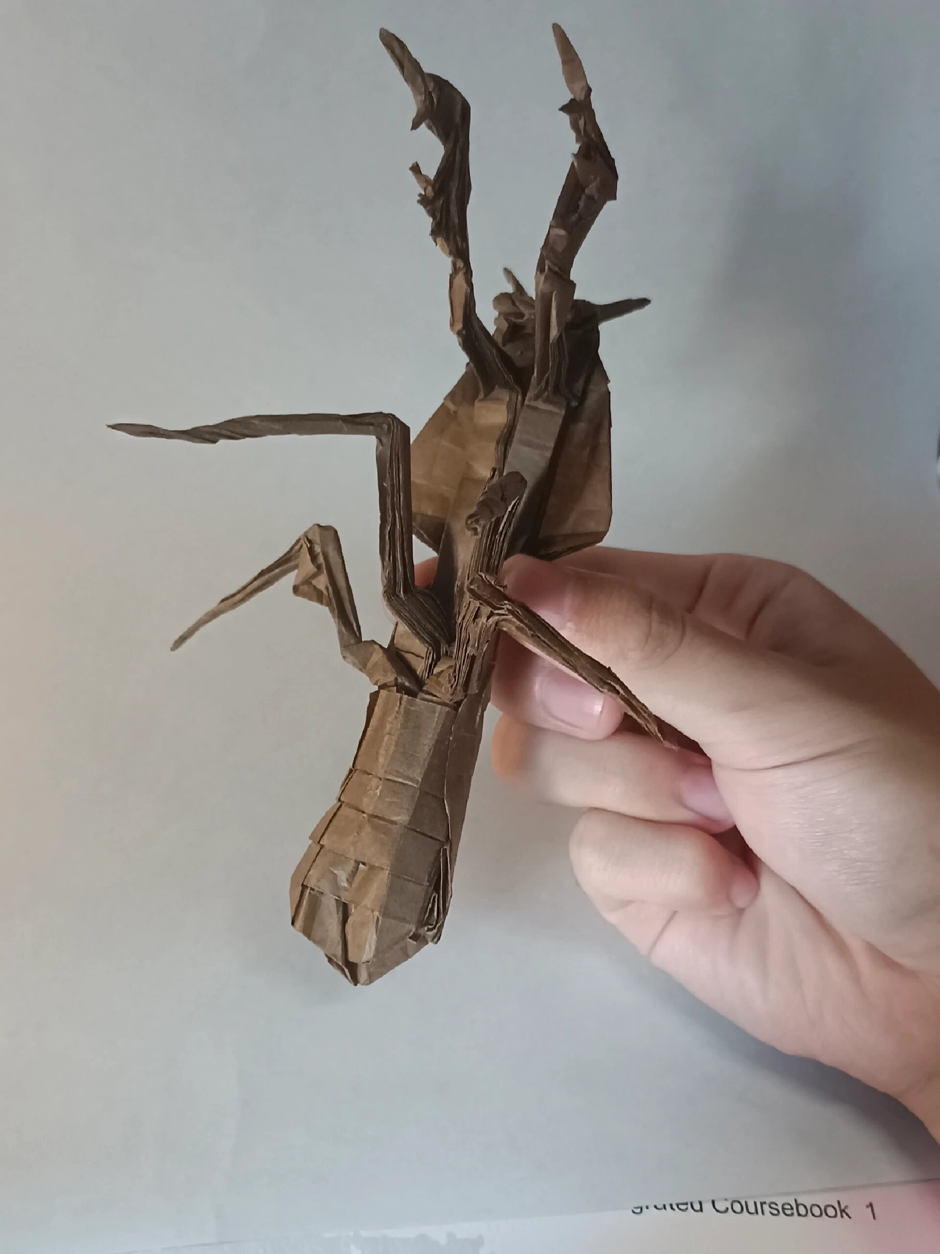 折纸——枯叶螳螂