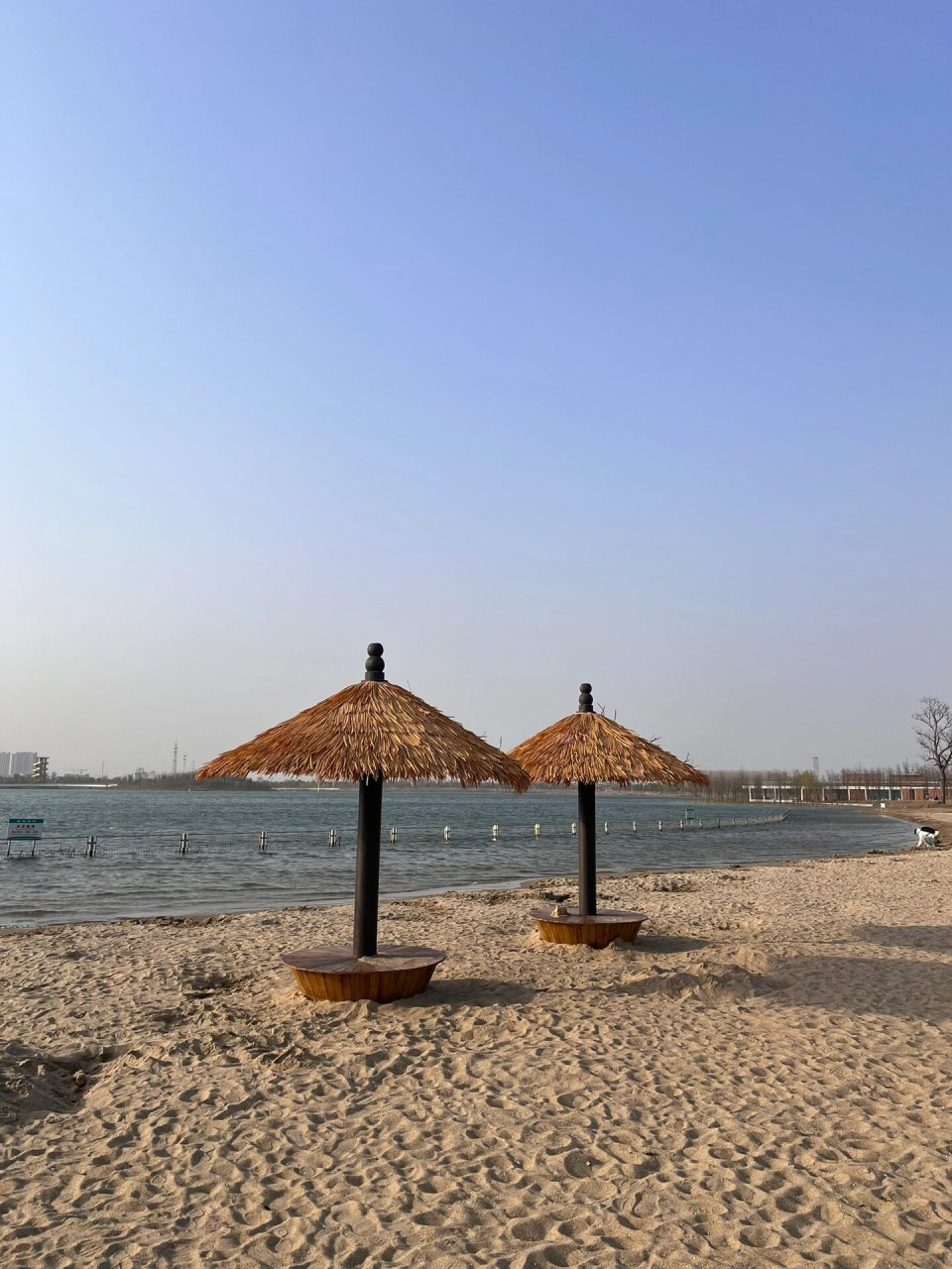 99海安 上湖沙滩 前面四张是昨天在湖西走廊7515 后面几张是3月