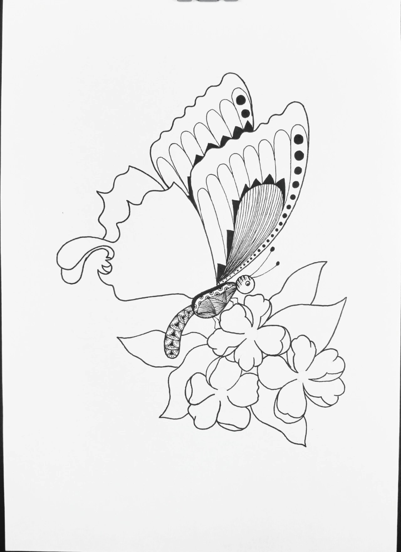 《蝶恋花》线描画绘画过程