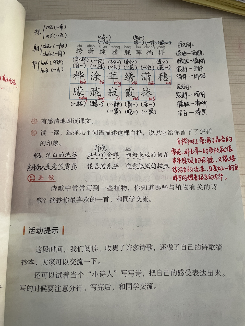 四下语文95|第11课《白桦》课堂笔记