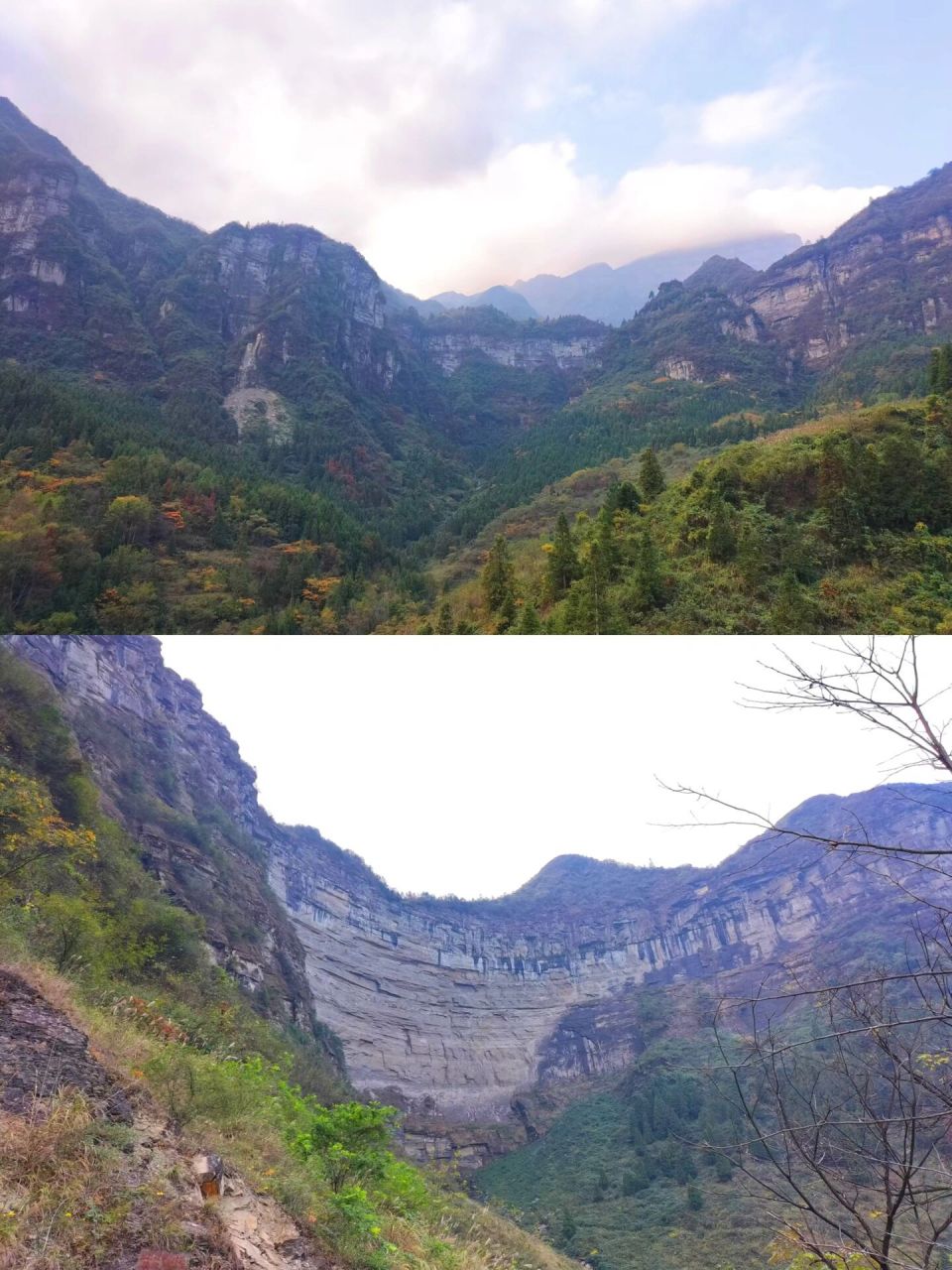徒步好风景|金佛山三泉镇北门可爱的猴子群     导航:金佛山三泉镇