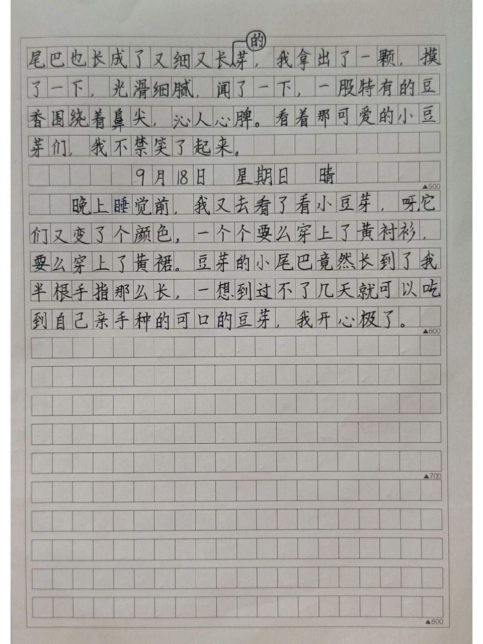 每日观察日记怎么写(观察日记每天的观察日记)
