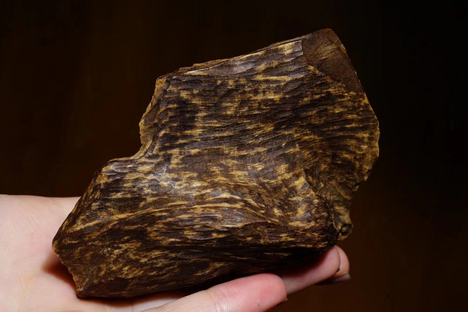 奇楠沉香一直是皇家祈福礼佛拜神熏香必备 奇楠沉香与熟结沉香本是