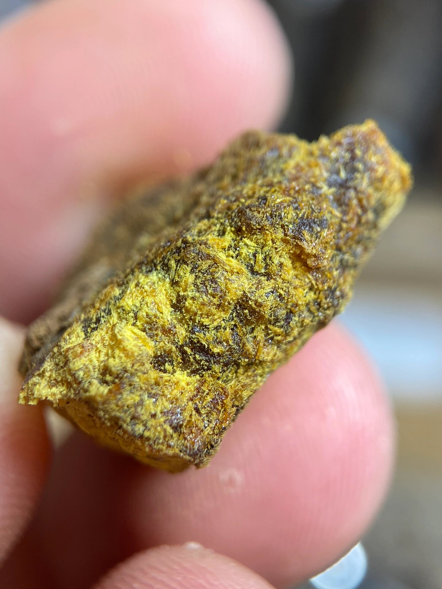 贡木沉香结晶体 高端货,机缘巧合之下寻得一根印贡沉香油脂结晶料