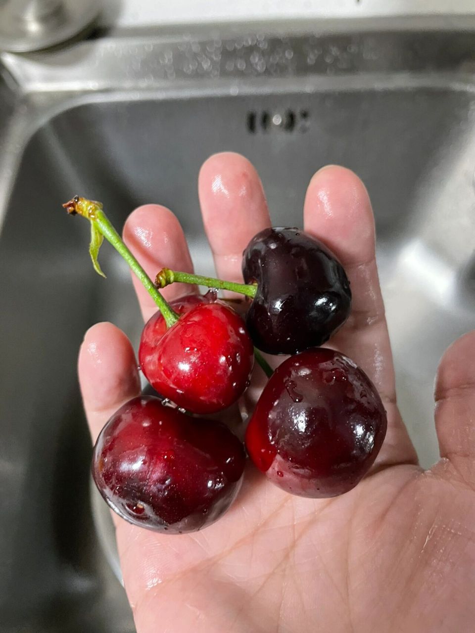求助:大樱桃吃起全是泡沫箱子的味道 网购大樱桃黑珍珠,路上寄了两天