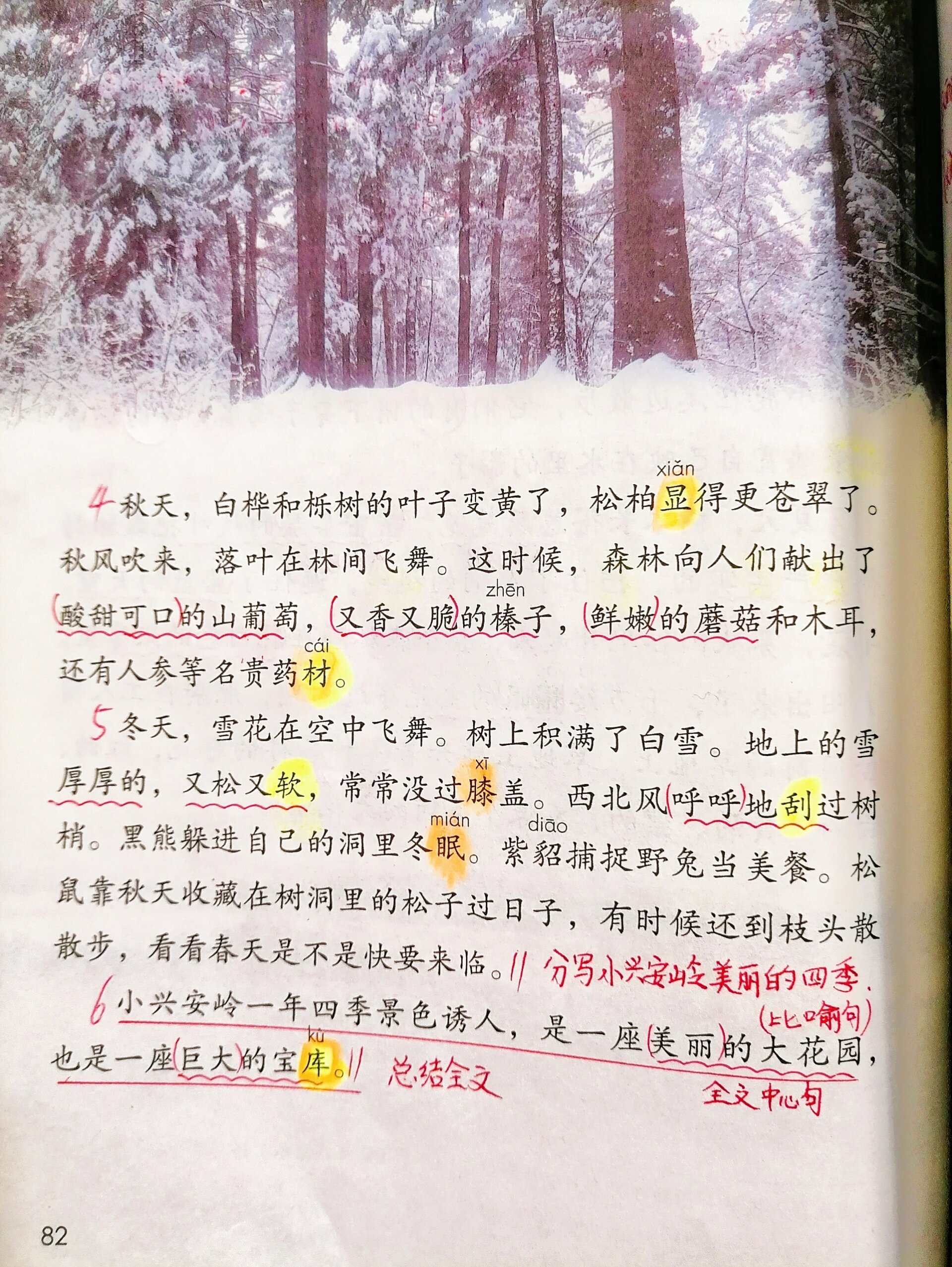 三年上册第20课美丽的小兴安岭课堂笔记