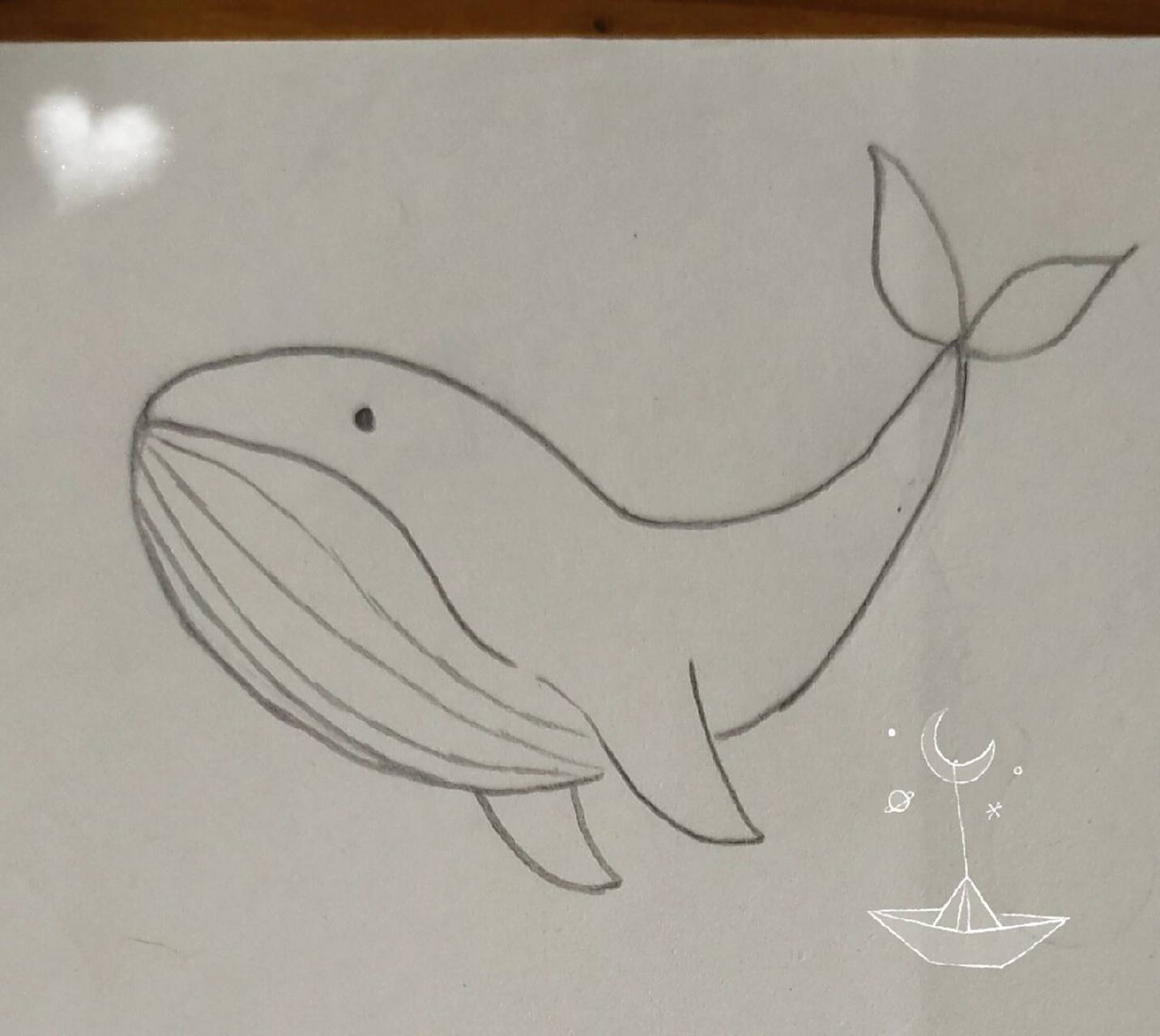 简笔画鲸鱼 简笔画鲸鱼   我就不信有人不会