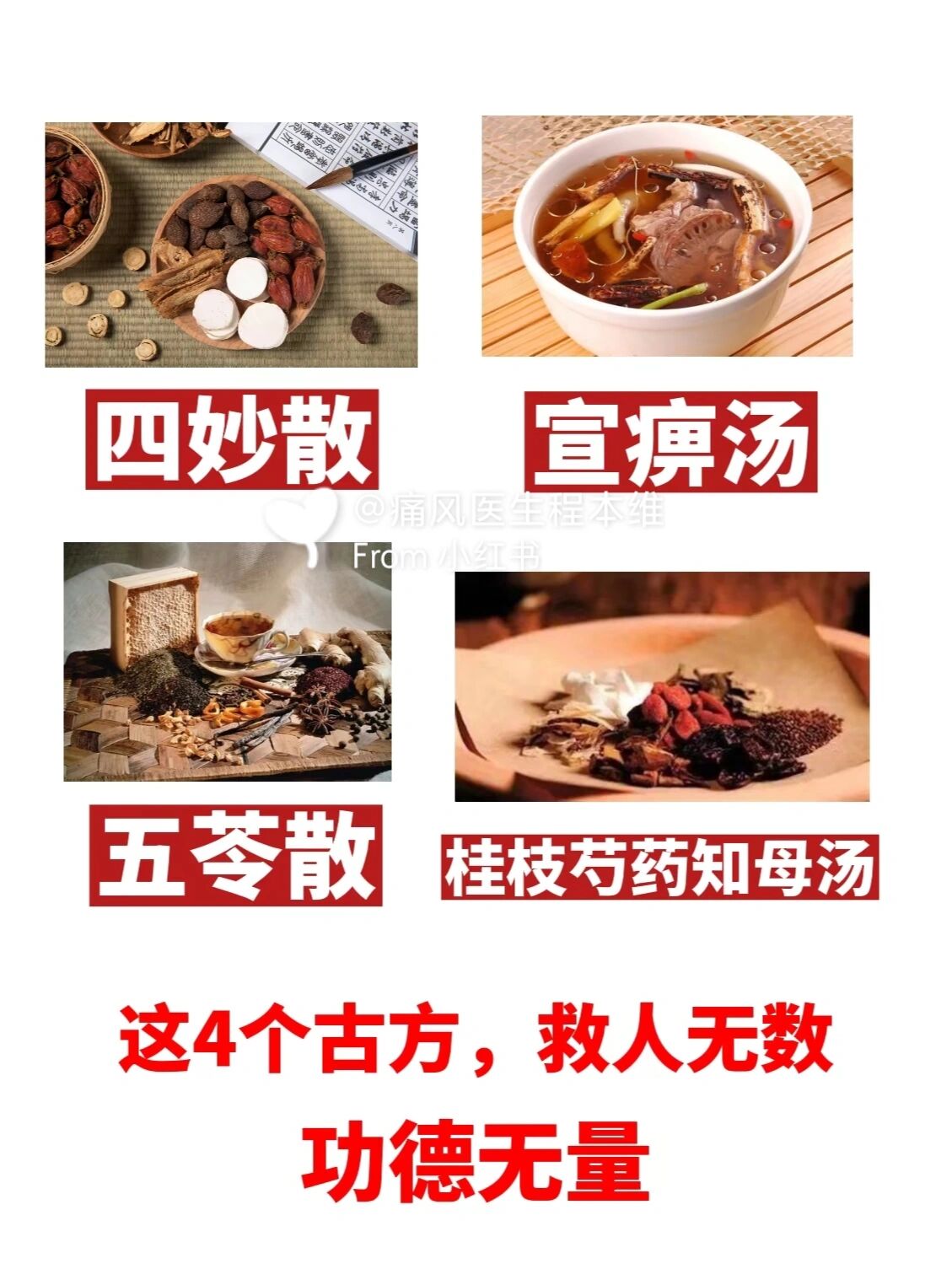 四妙散组成图片