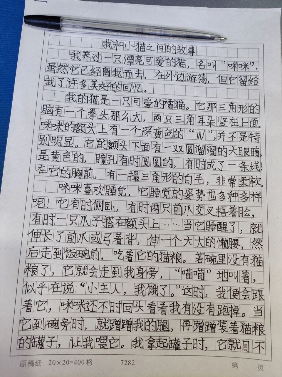 小作文-我和小猫之间的故事 小作文
