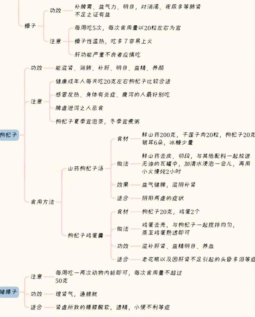 肾的养护思维导图.