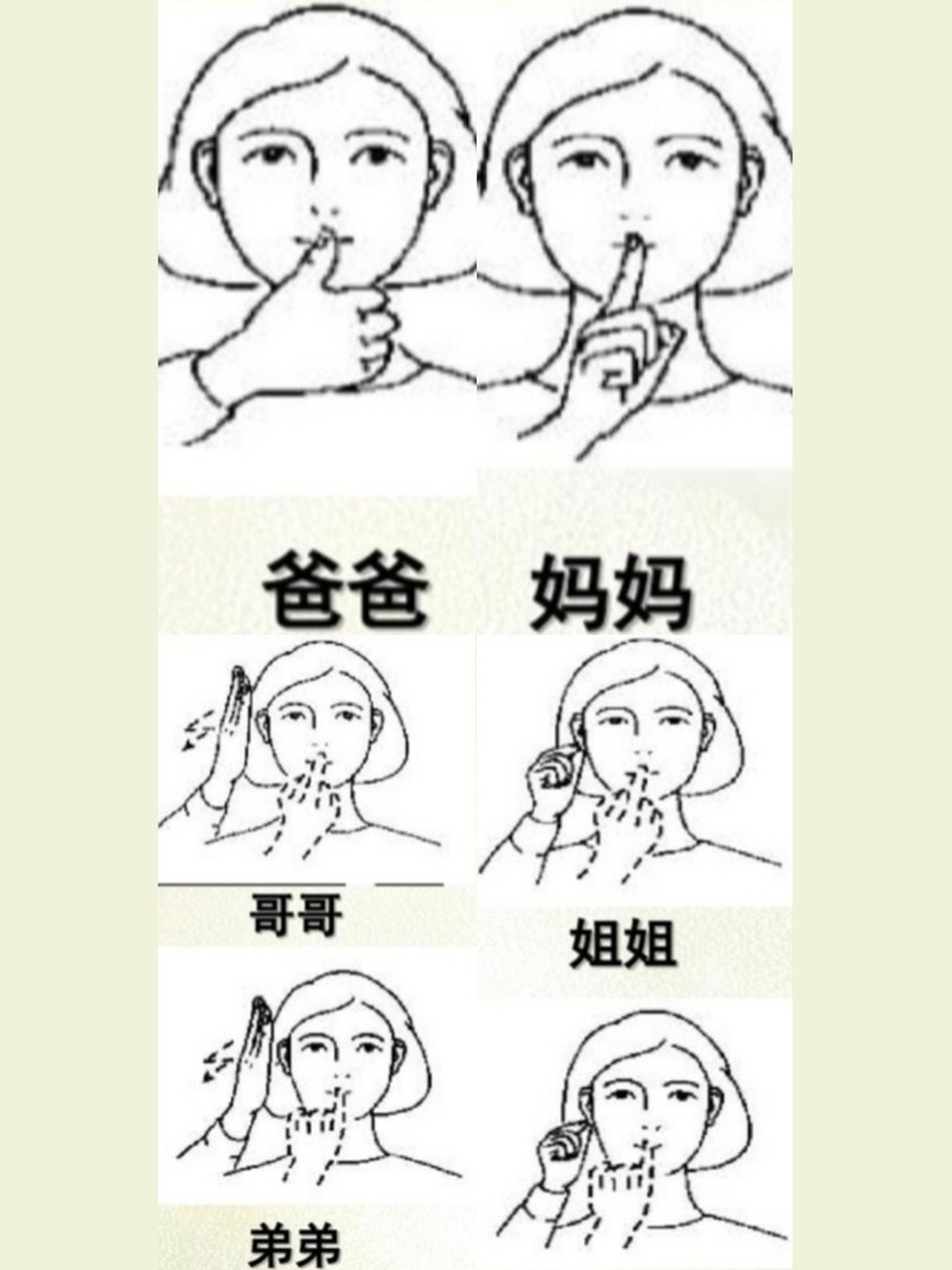 手语基础知识教学第三课78上 手语人称及家庭成员教学‖上 1, 我