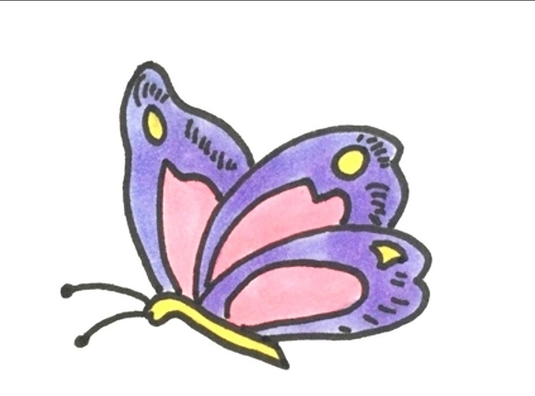 蝴蝶的简笔画简单图片