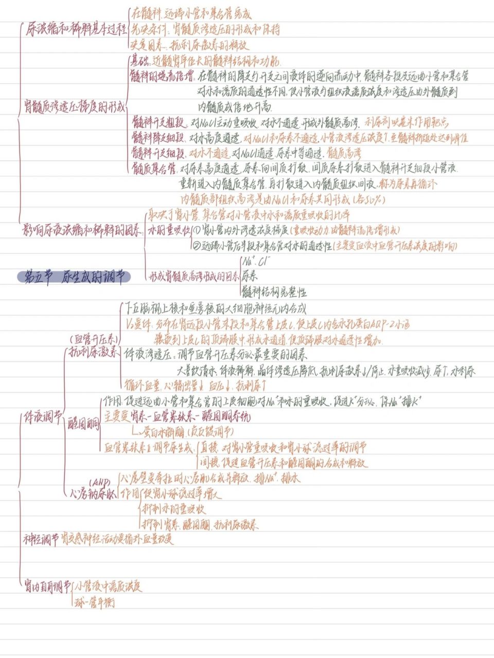 排尿排便评估思维导图图片