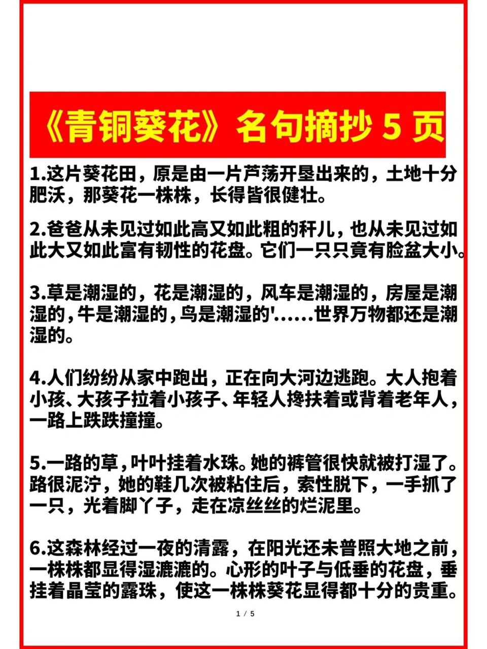 《青铜葵花》经典名句摘抄资料素材独家排版