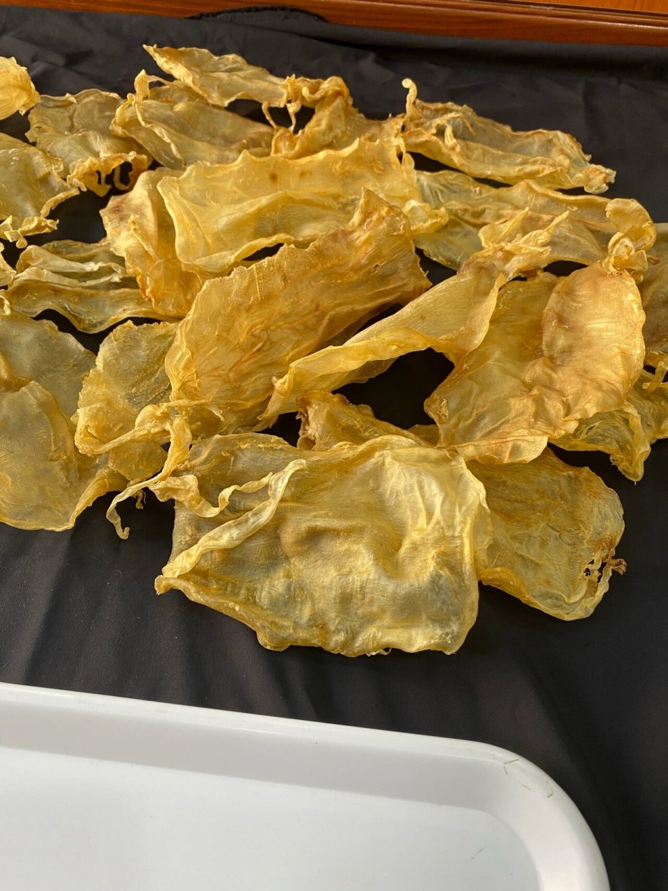 正宗北海金钱,不是北海大耳哦 北海金钱鳘鱼胶,两条长须,柔肉肉质,足