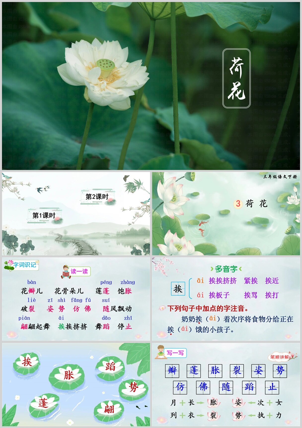 三年级下册语文《荷花》ppt