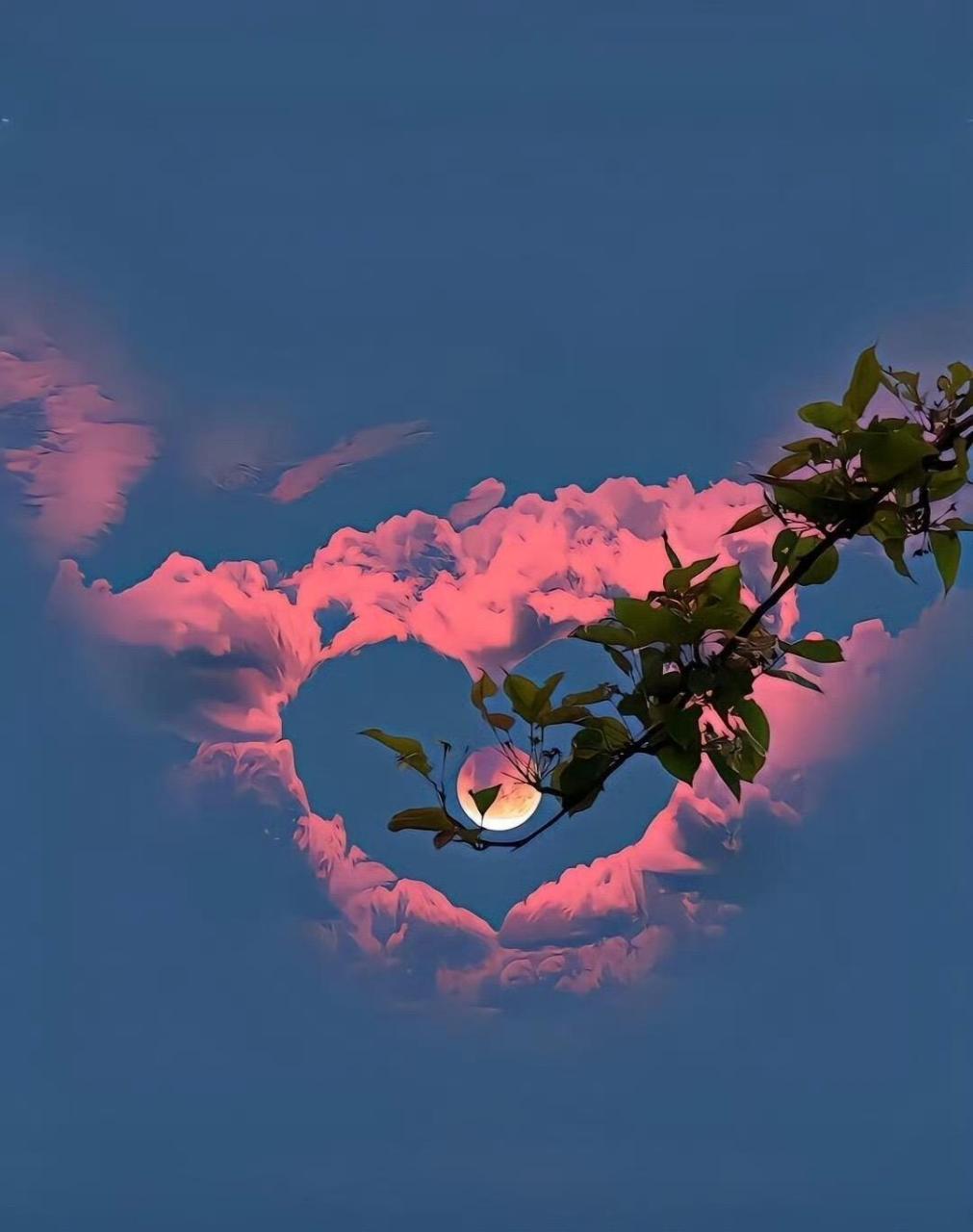 治愈系 好看的背景图 治愈心情 慢下来看世界 生活美学