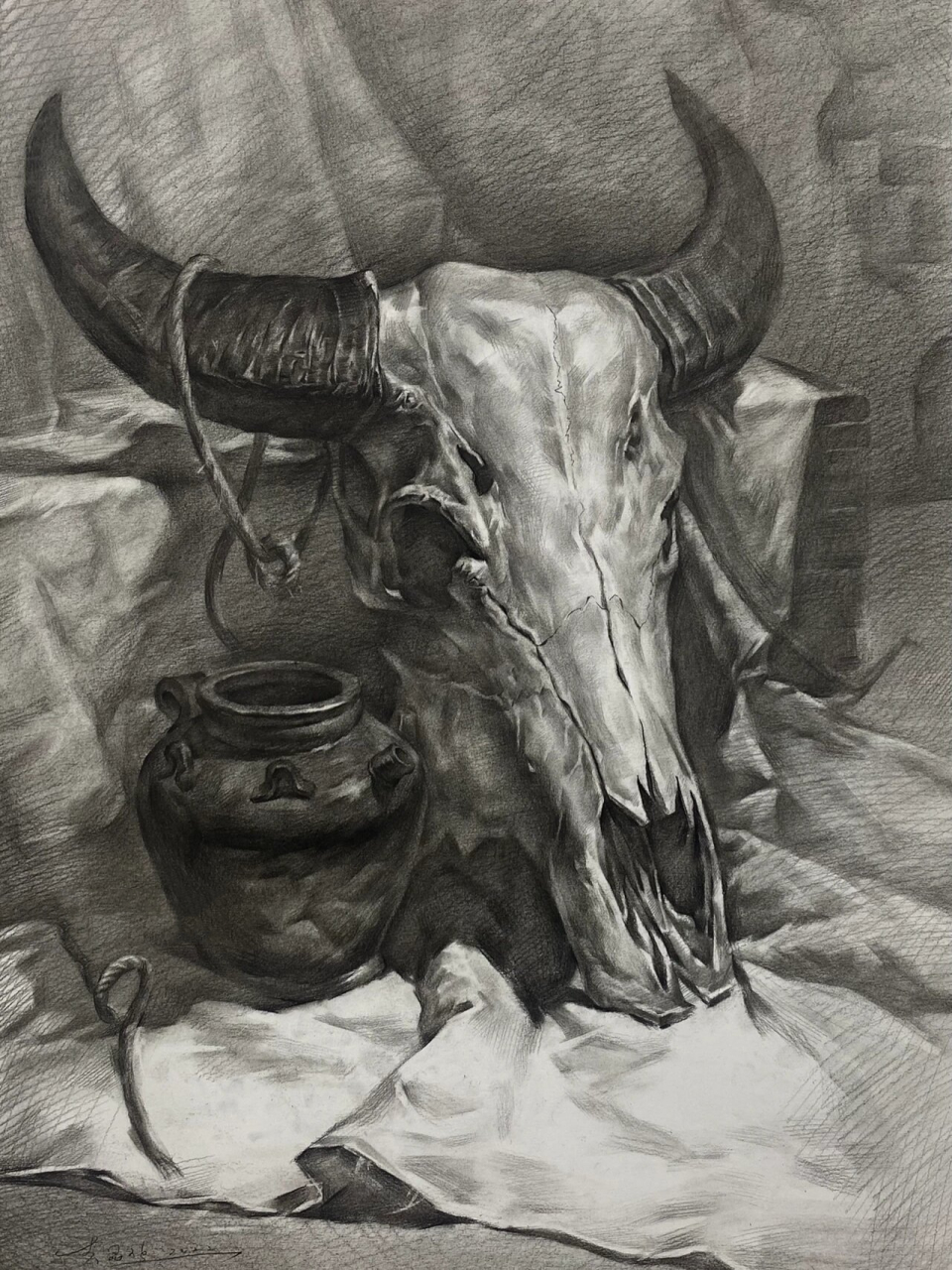 素描静物(羊头) 素描静物羊头步骤图