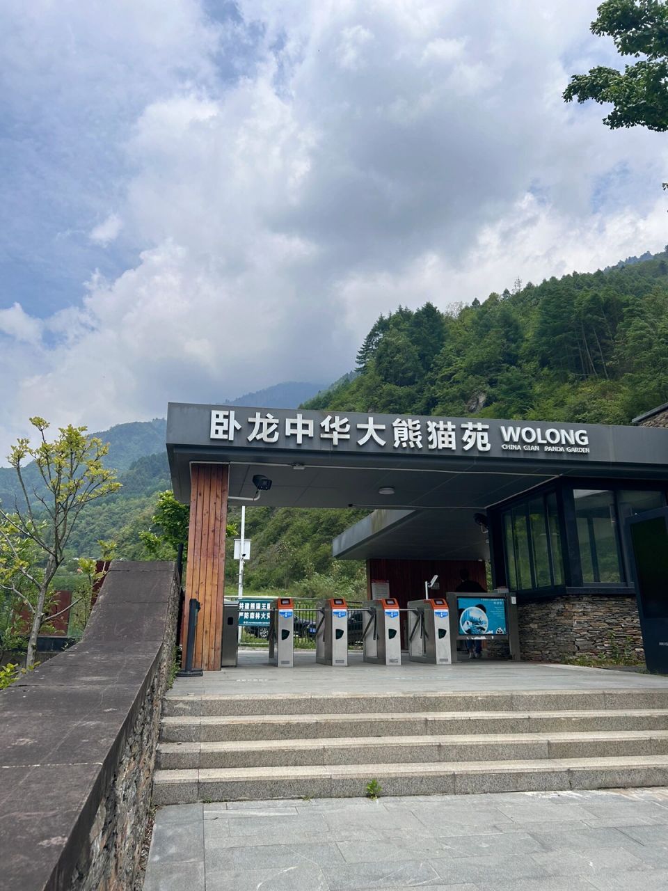 卧龙熊猫94基地真的完胜成都熊猫基地6015 99 卧龙中华大熊猫