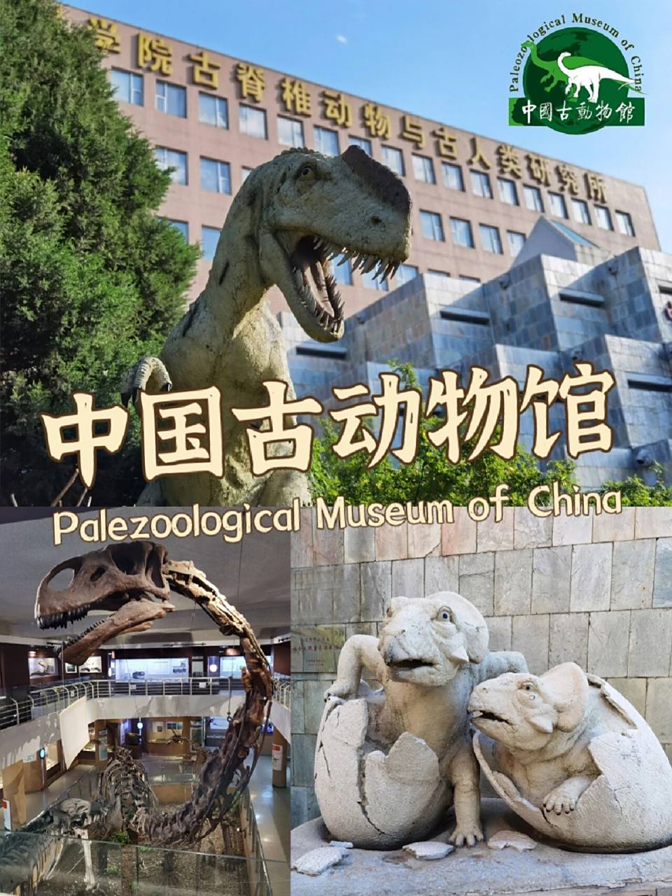 胡桃逛展 | 古生物博览基地—中国古动物馆 在北京西直门桥往西,天文