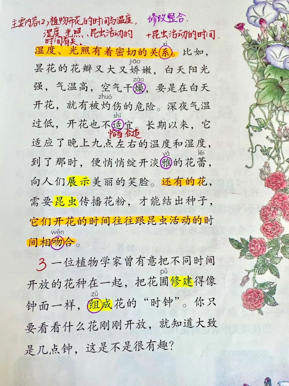 三下语文13课花钟 备课批注预习笔记