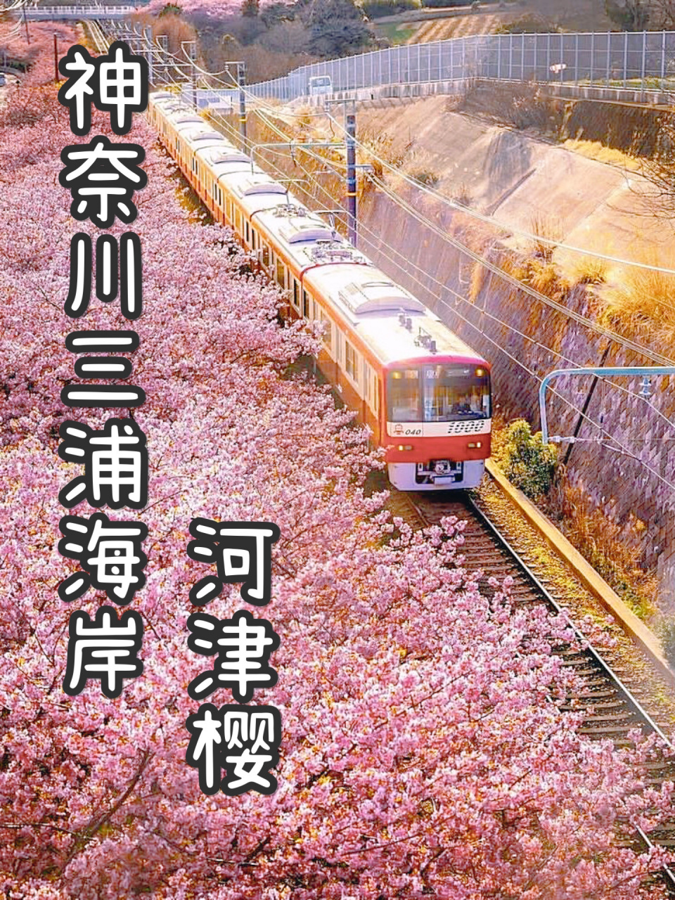 日本河津站图片