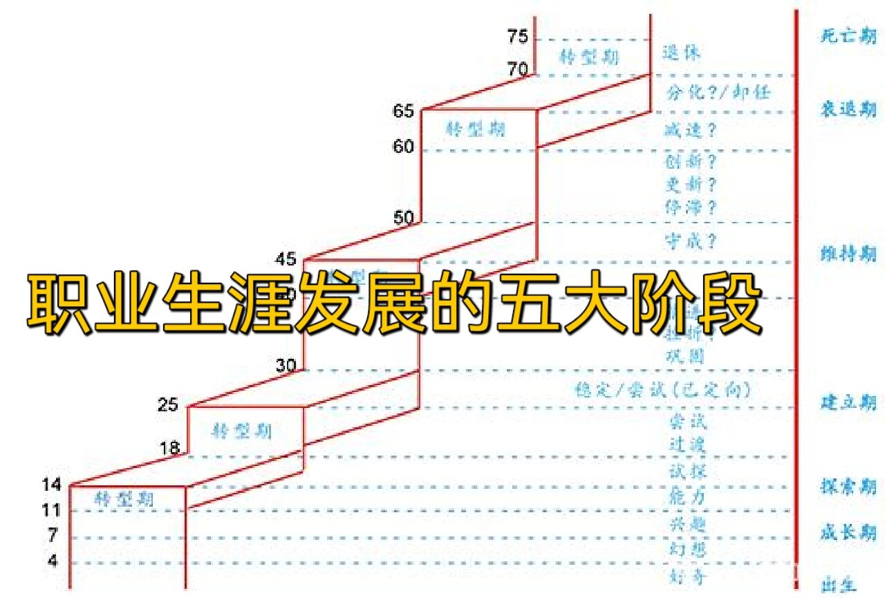 舒伯的生涯发展理论图片