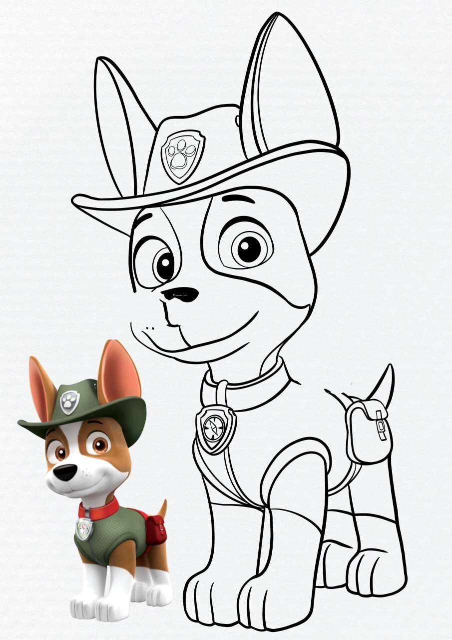 7汪汪队小克手绘教程|附线稿|可打印|免费下 小克(tracker) 品种:吉