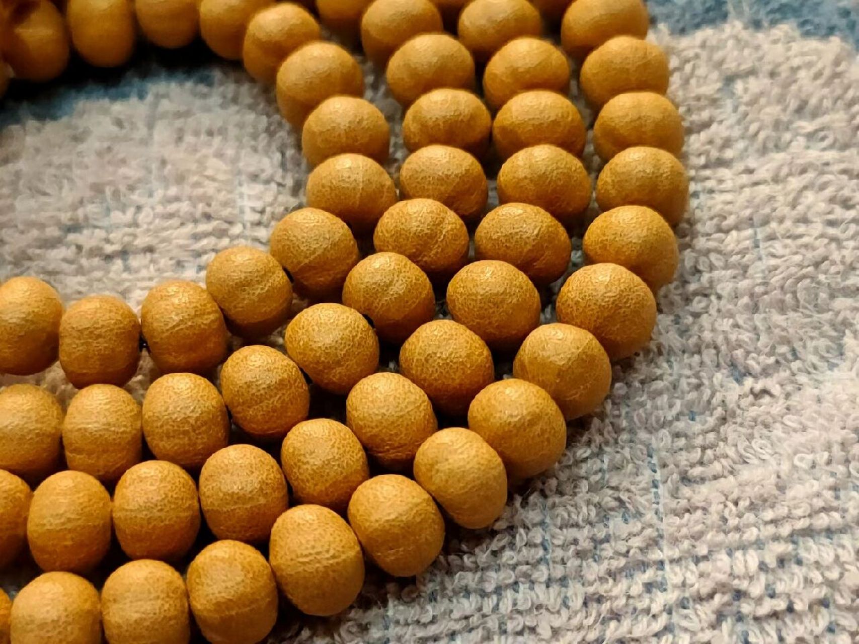 各种各样的天台菩提,也叫五线菩提子 想在上开店,不知道怎样才能在上