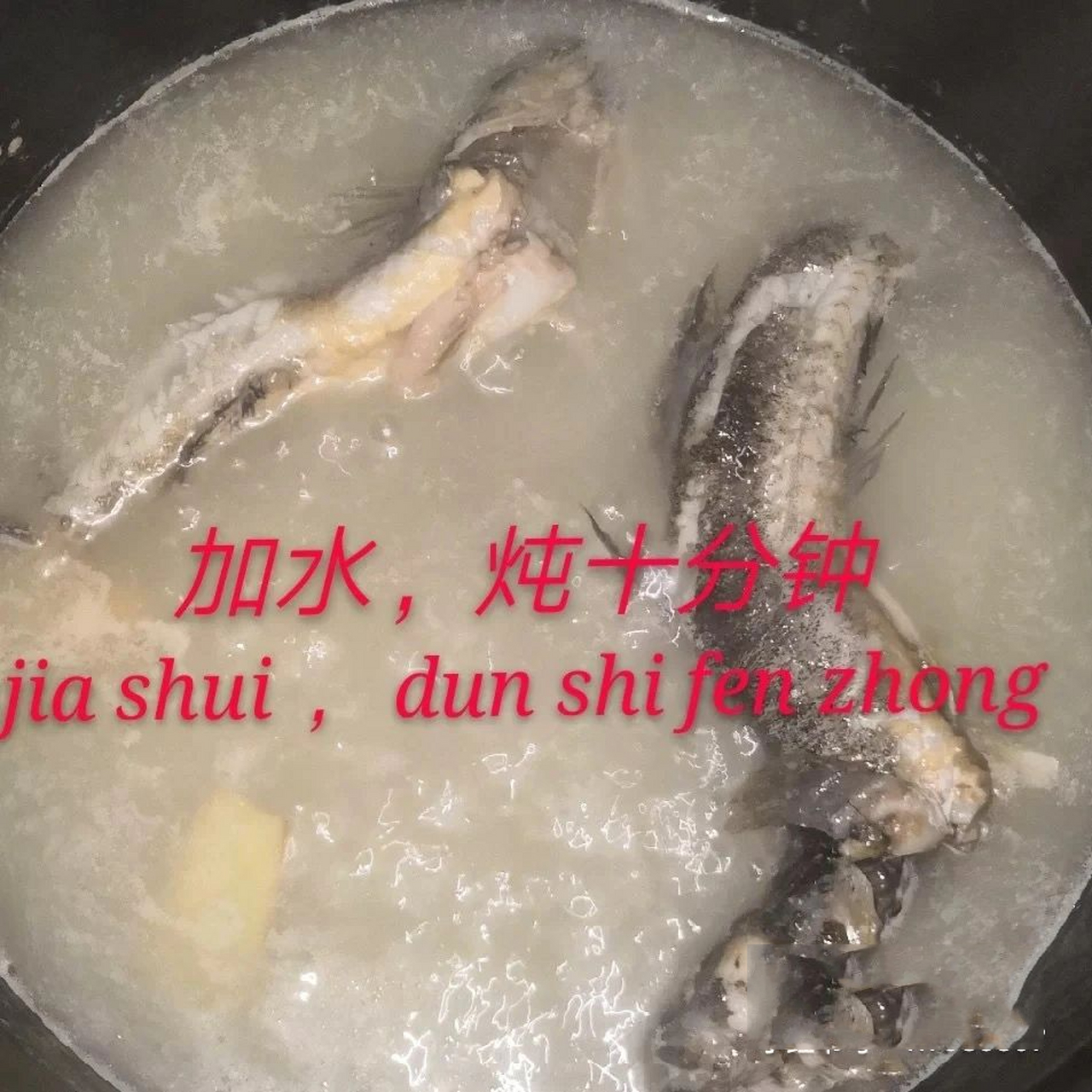 鲟虎鱼图片 鲟虎鱼真的是小孩子学走路的垫脚石.