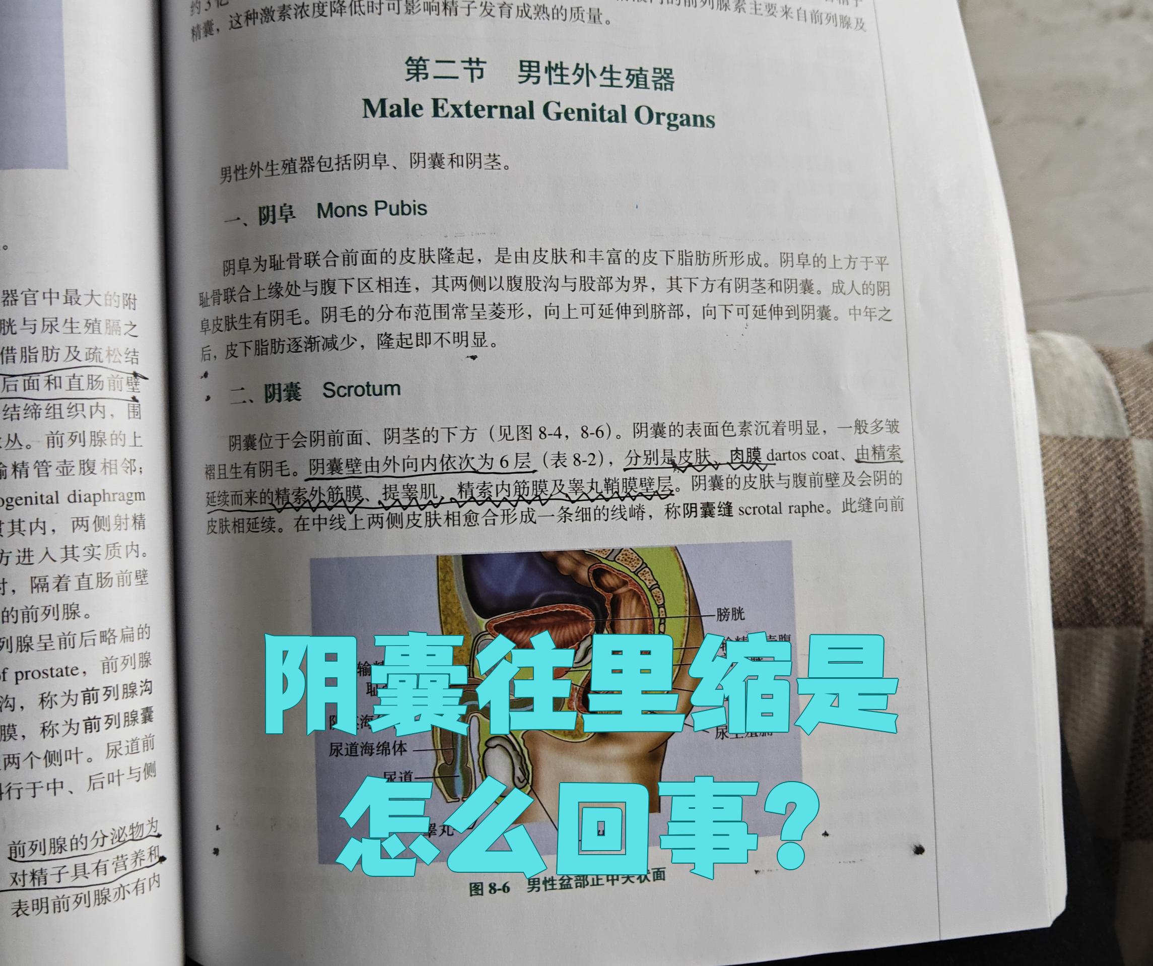 最常见的是缩阳症,患者会突然感觉阴囊,睾丸往体内收缩