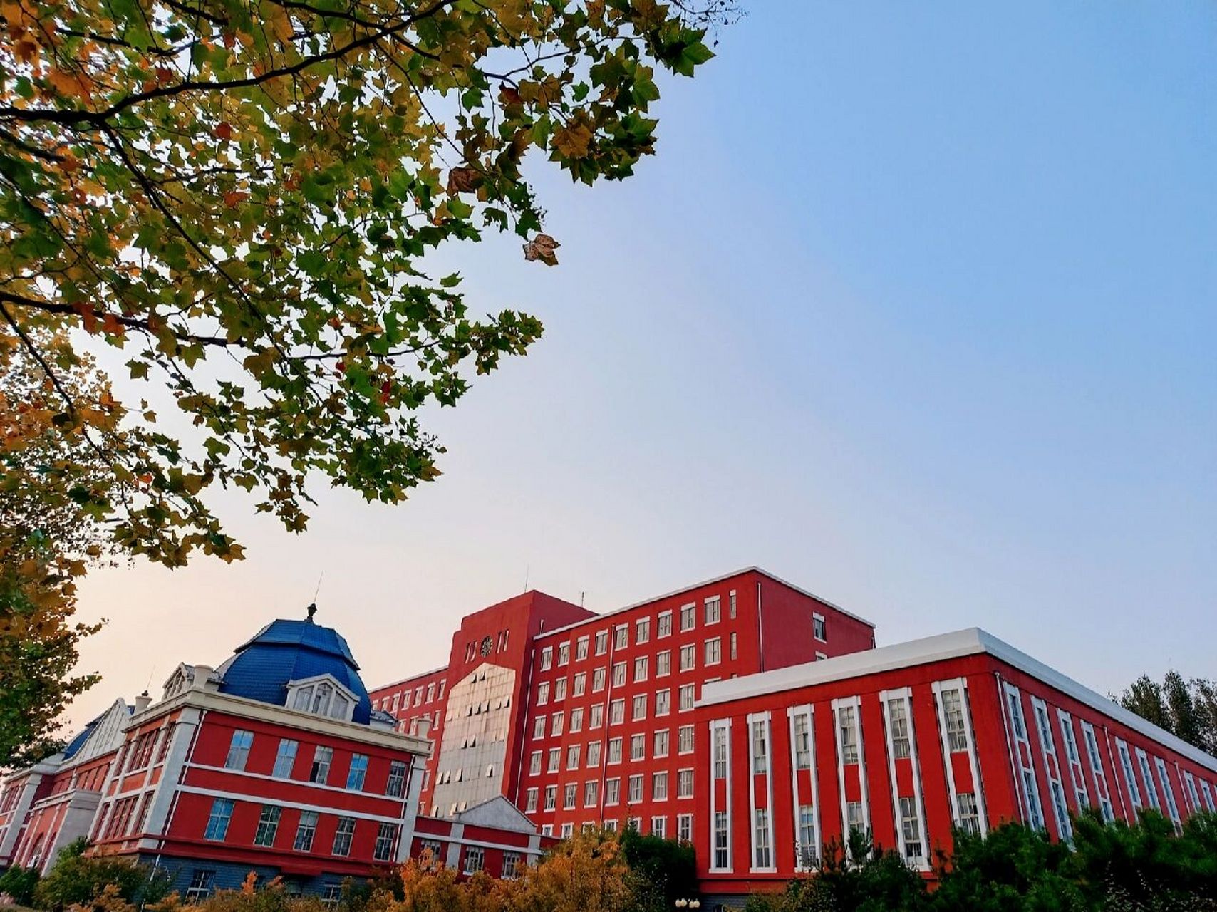 被东北大学秦皇岛分校录取了.