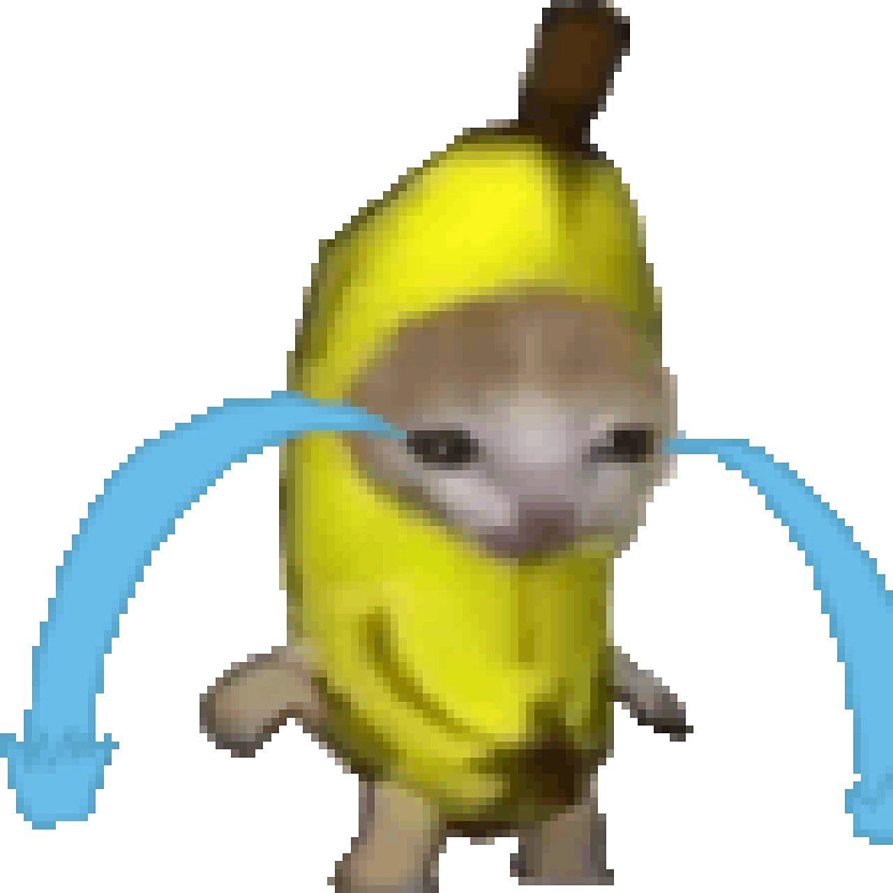 香蕉猫,苹果猫,每日臭猫,happy猫   所有表情包猫