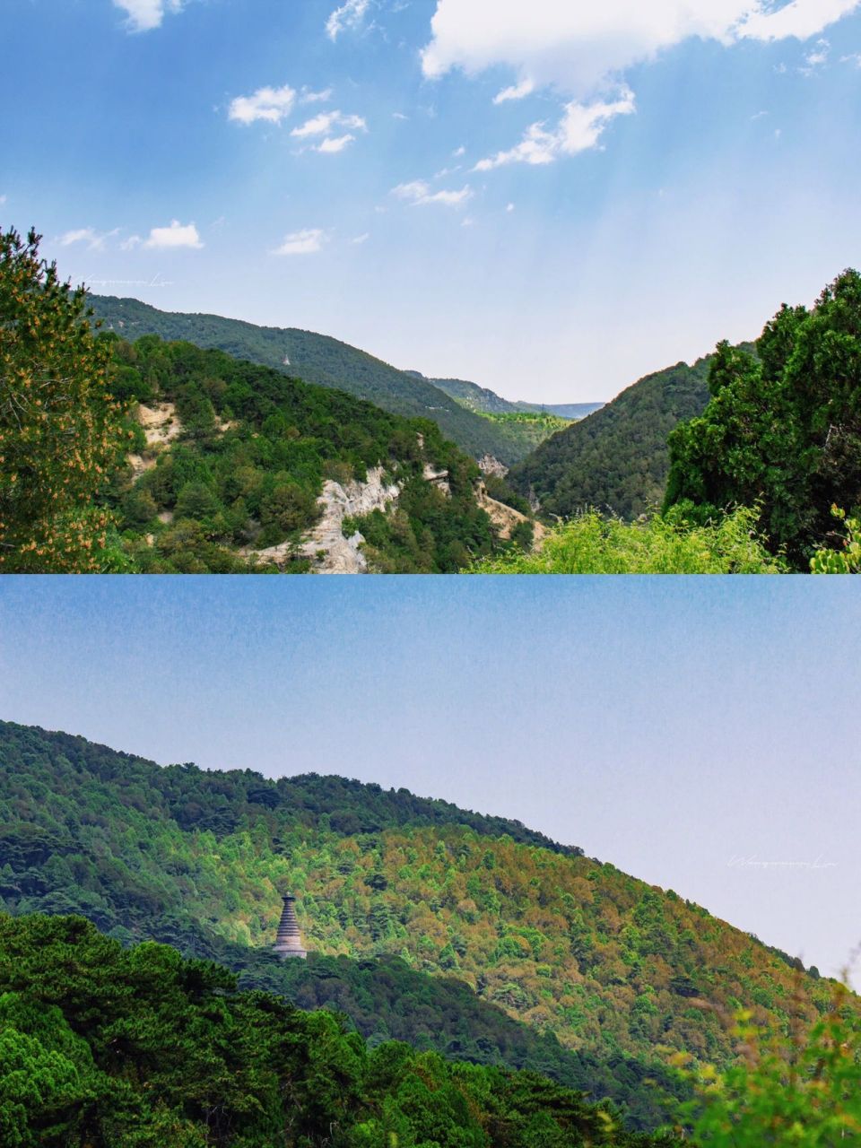 太原·天龙山柳子沟丨夏日避暑好去处 99拍摄地点:天龙山景区柳跖沟