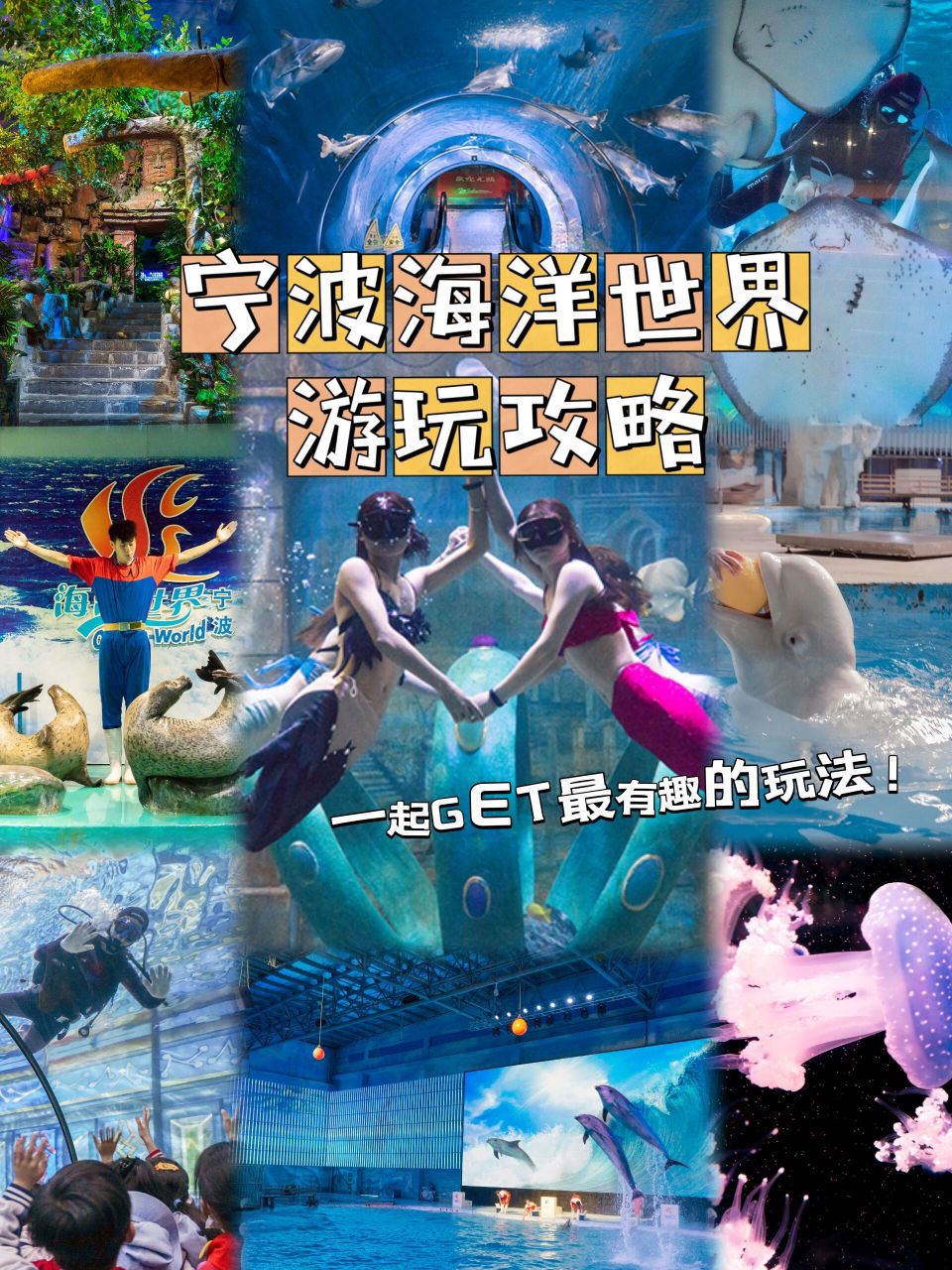 宁波海洋世界门票预订图片